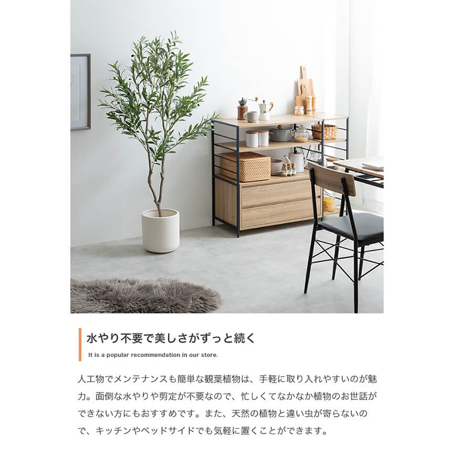 観葉植物