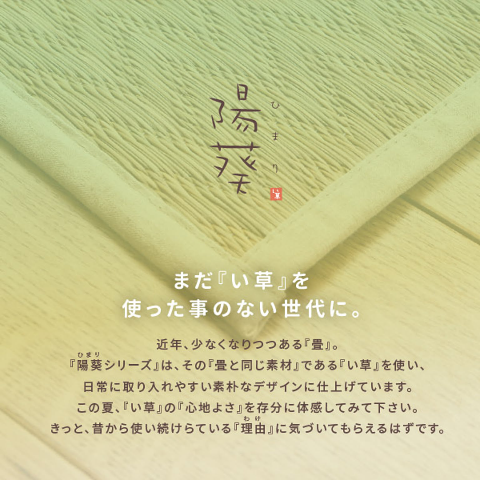 ござ・い草ラグ