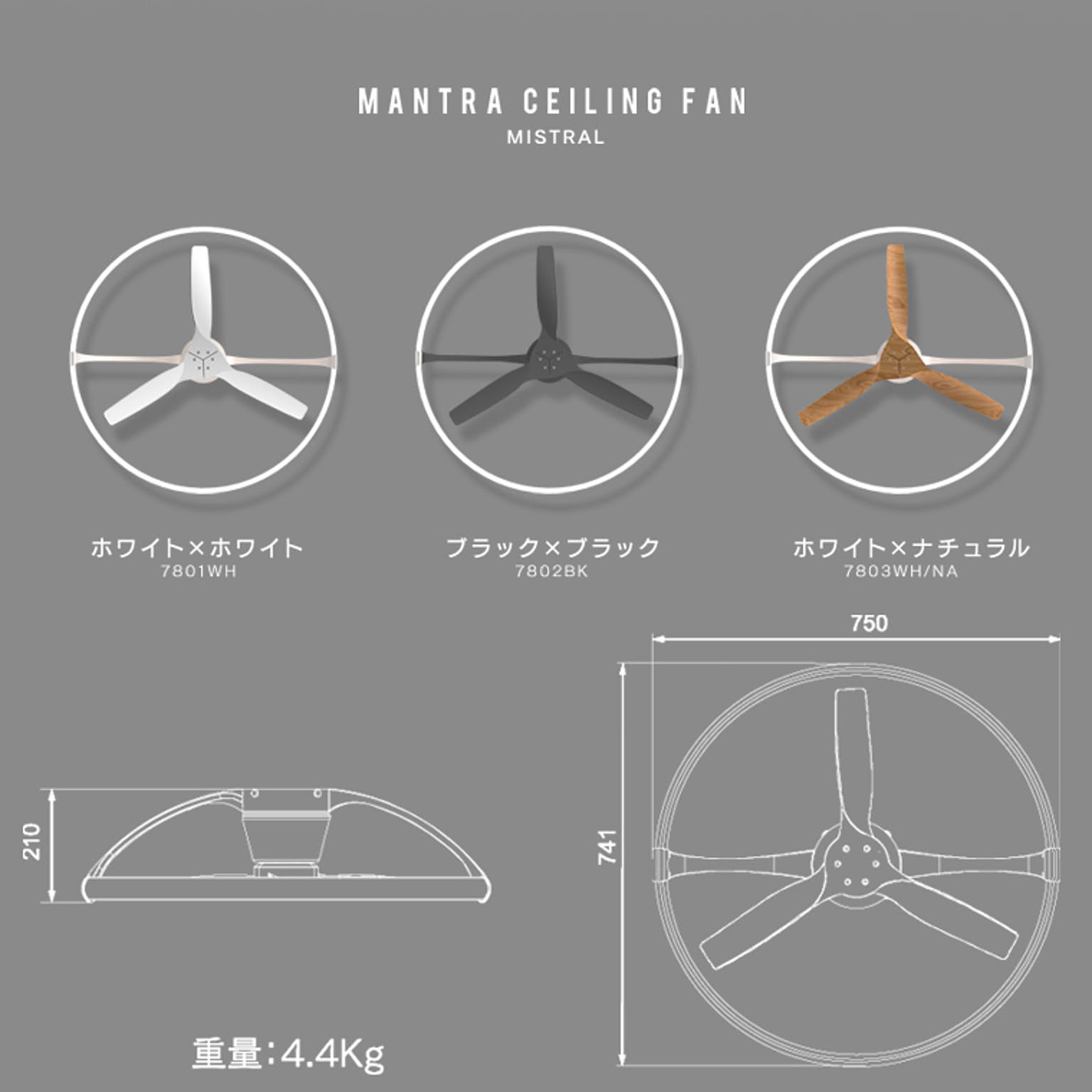 シーリングファンライト