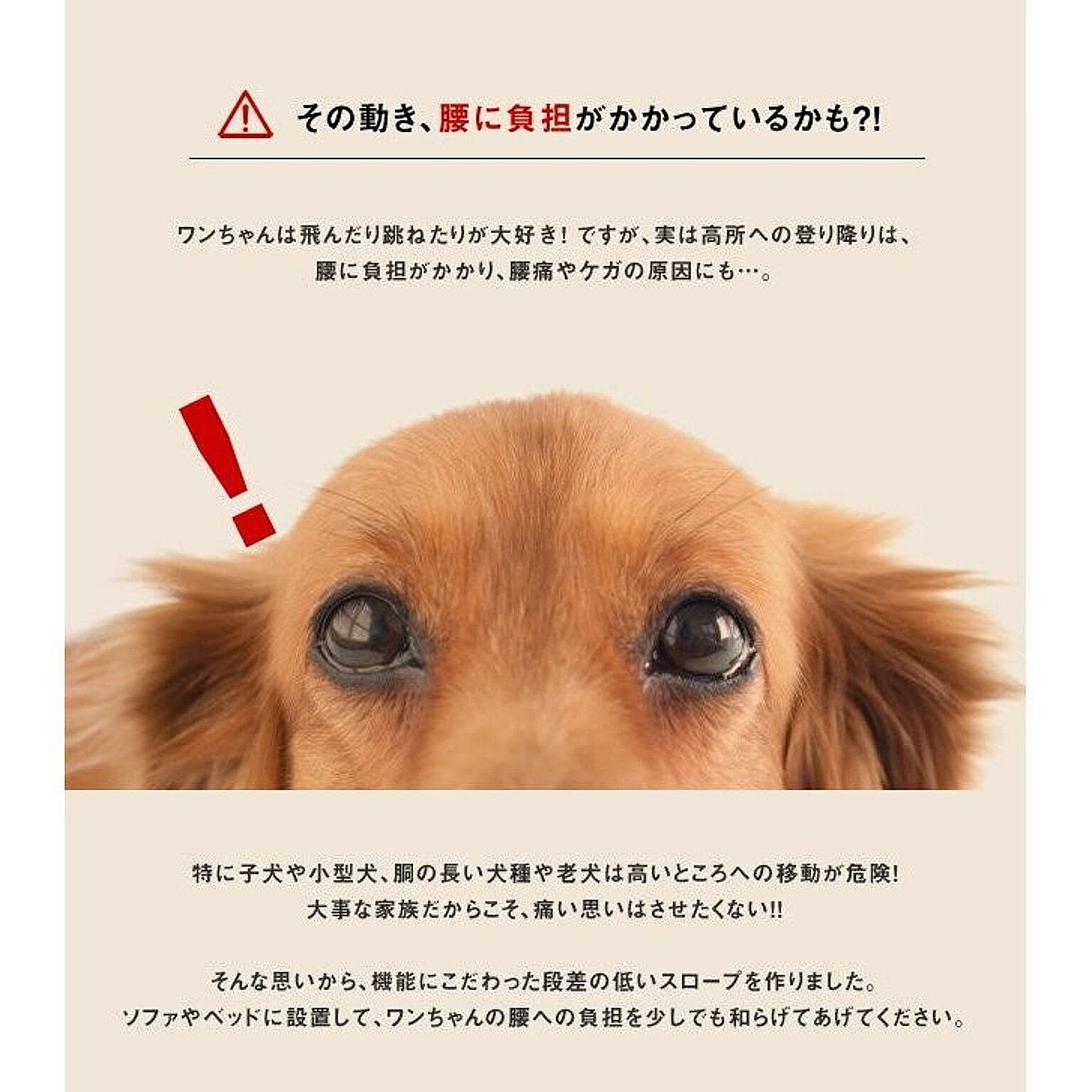 犬用インテリア・犬用家具