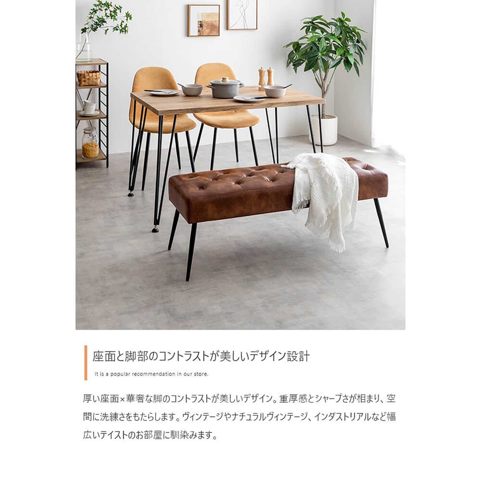 ベンチ