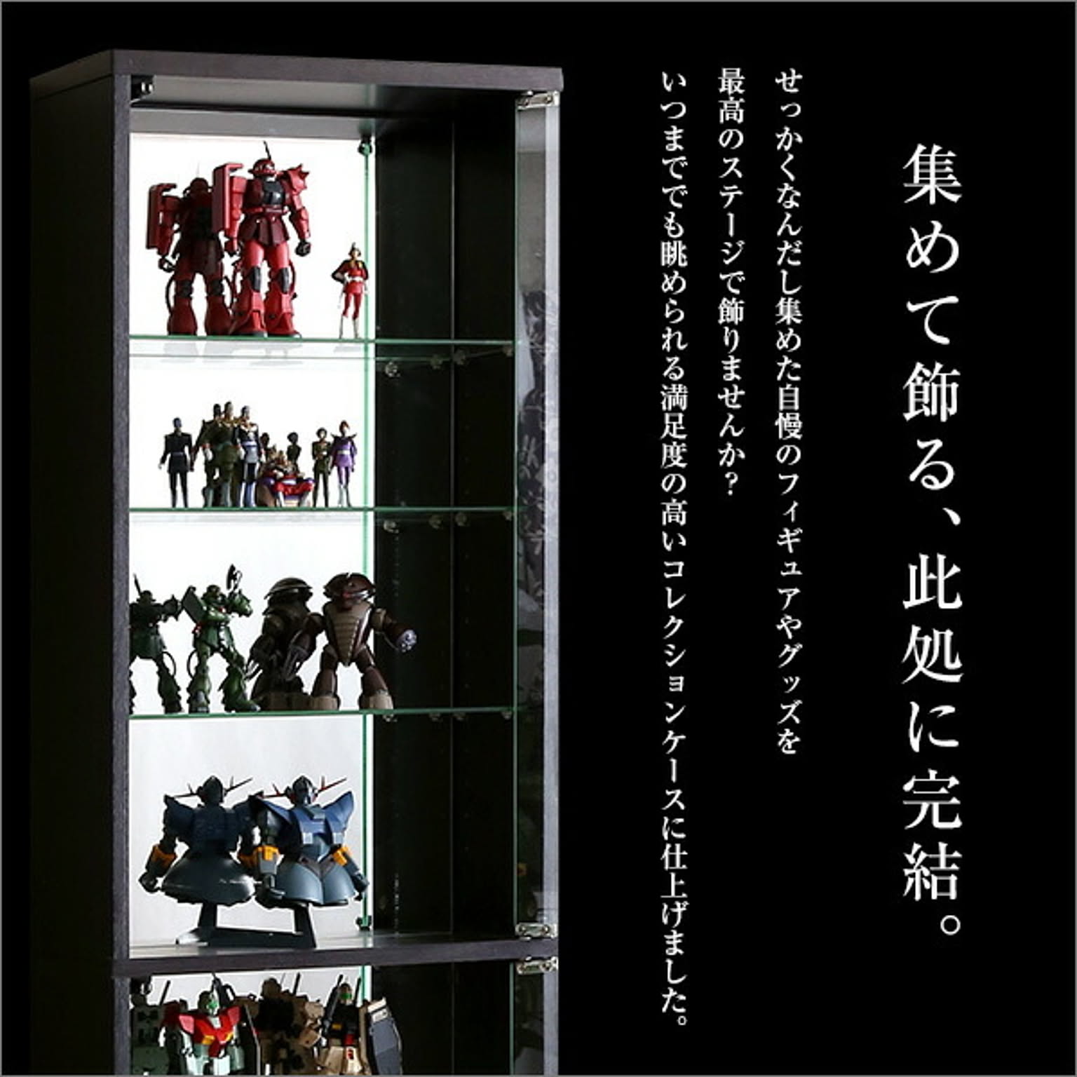 コレクションケース