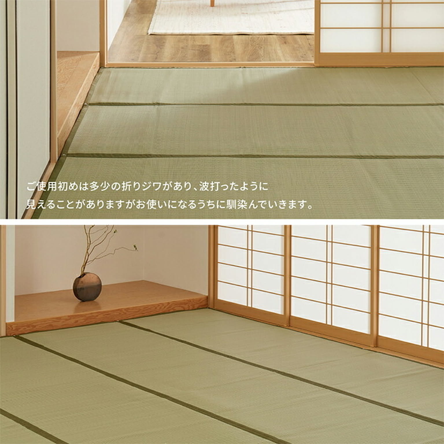 ござ・い草ラグ