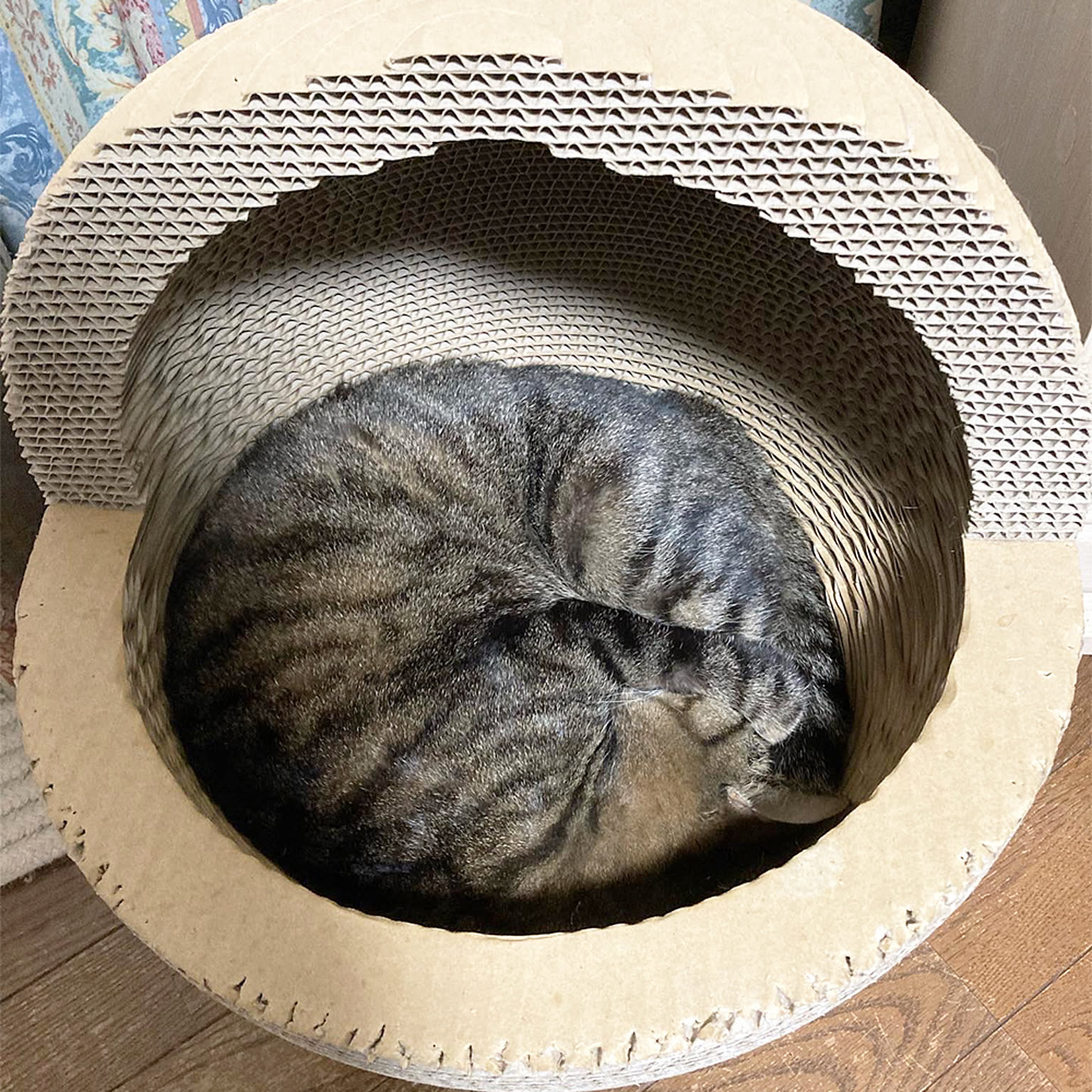 猫用インテリア・猫用家具