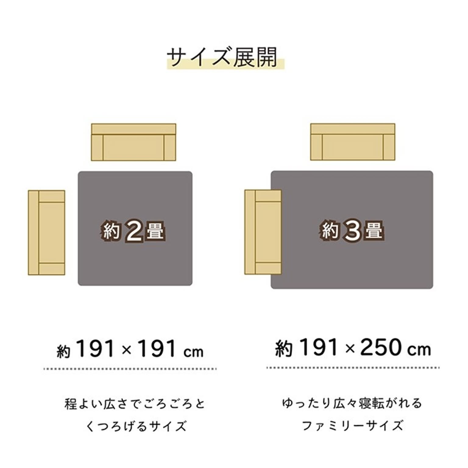 ござ・い草ラグ