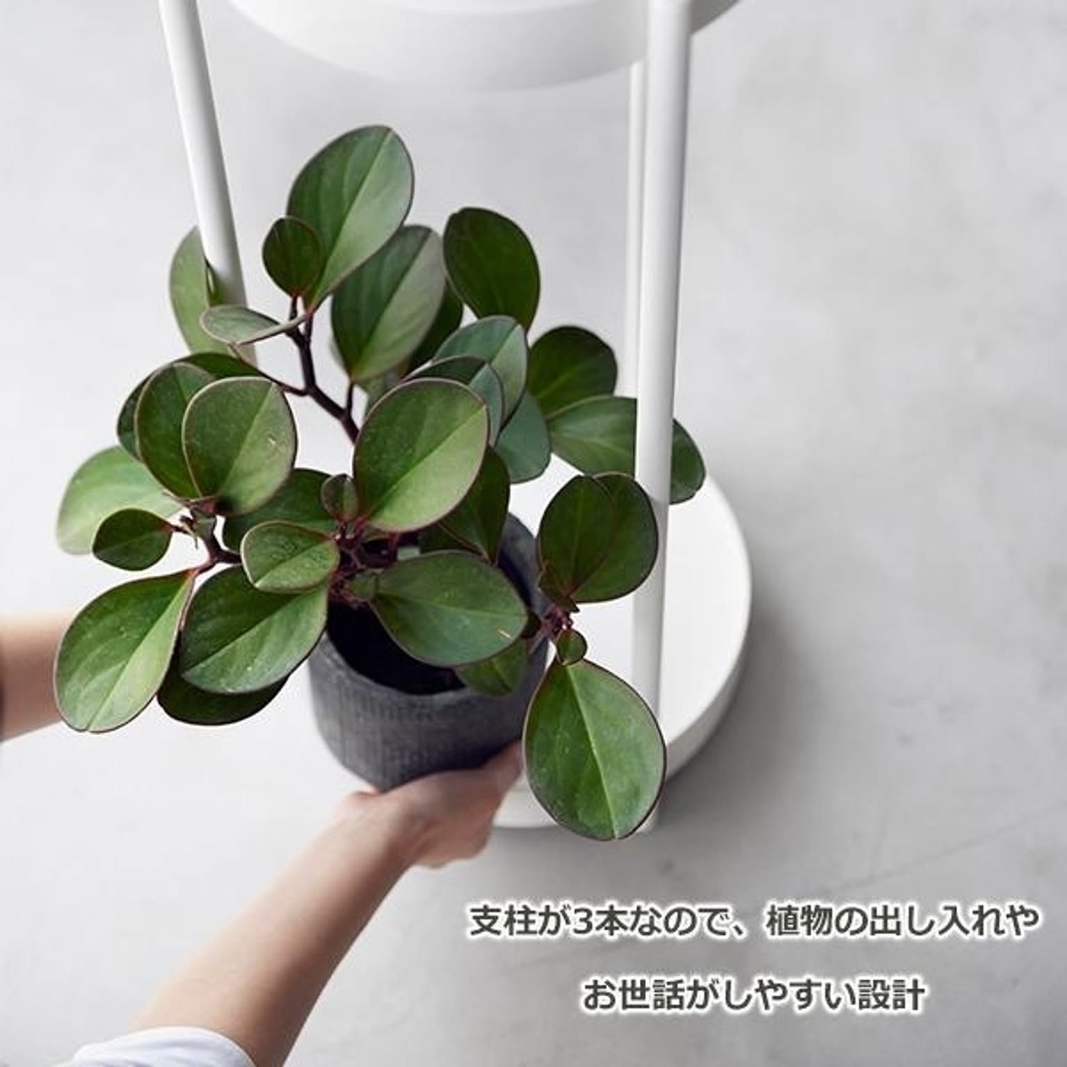 プランター・植木鉢