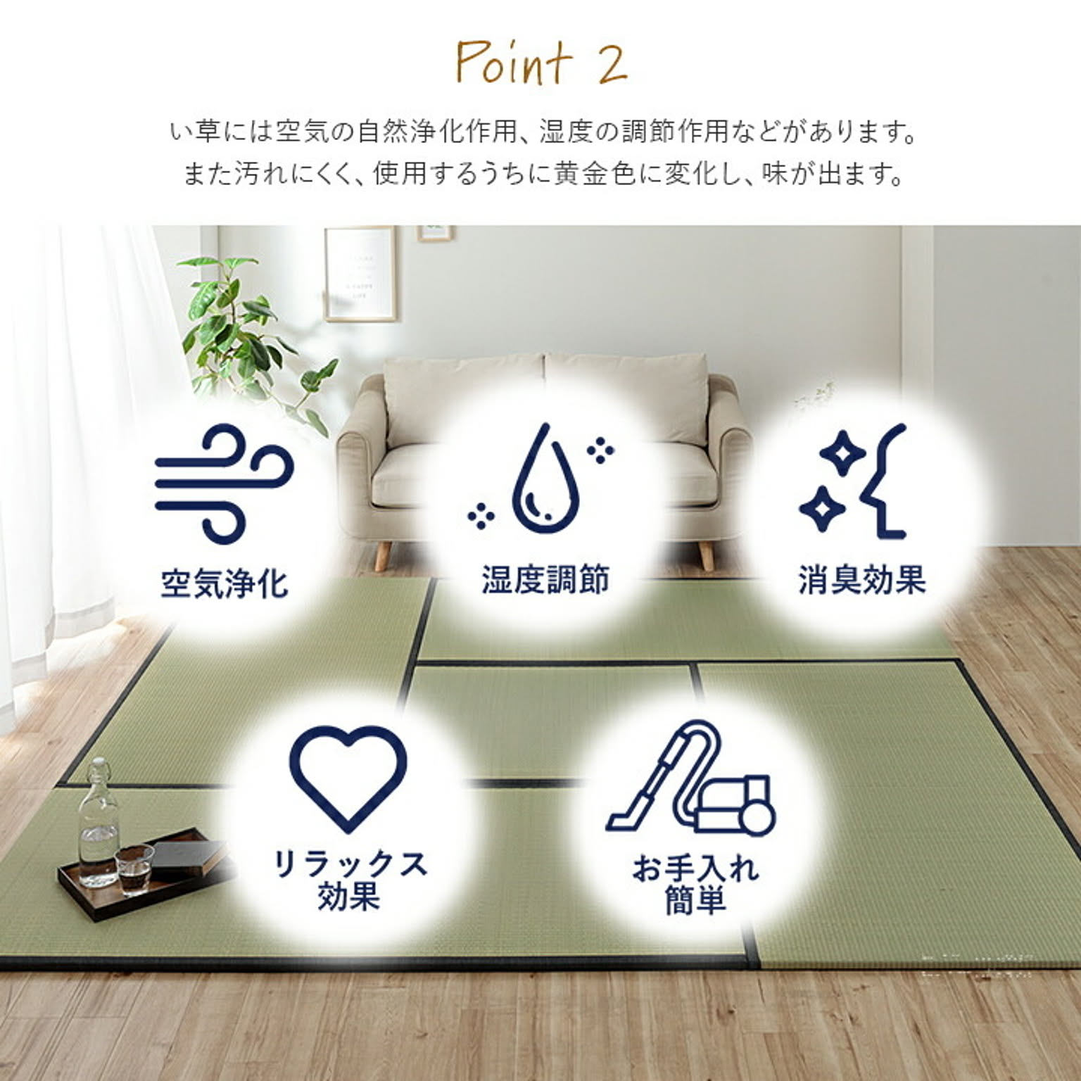 ござ・い草ラグ