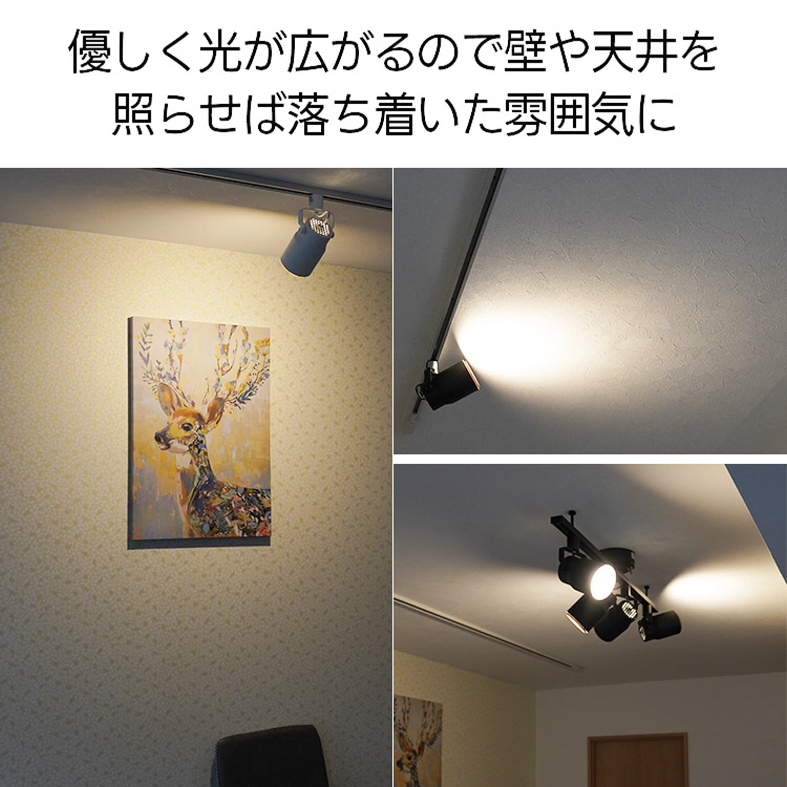 スポットライト