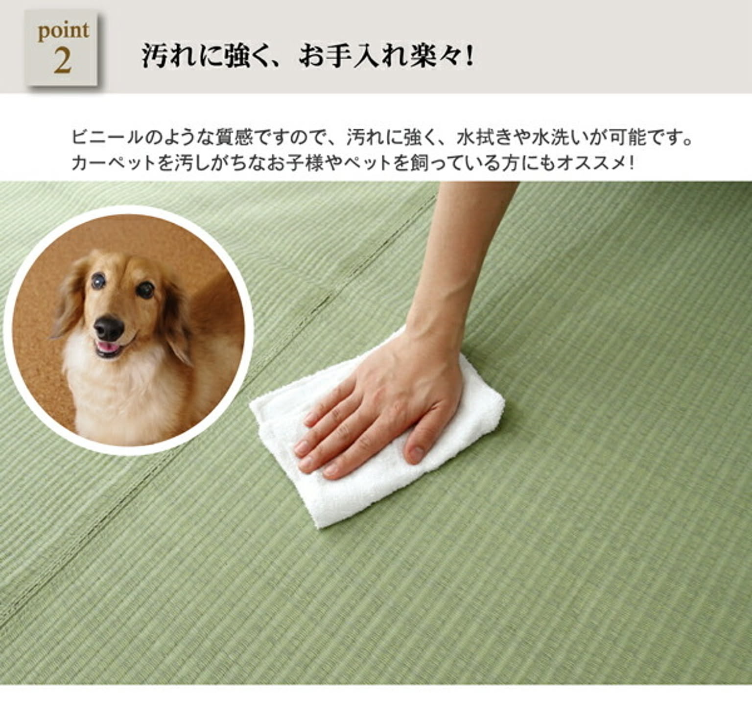 ござ・い草ラグ