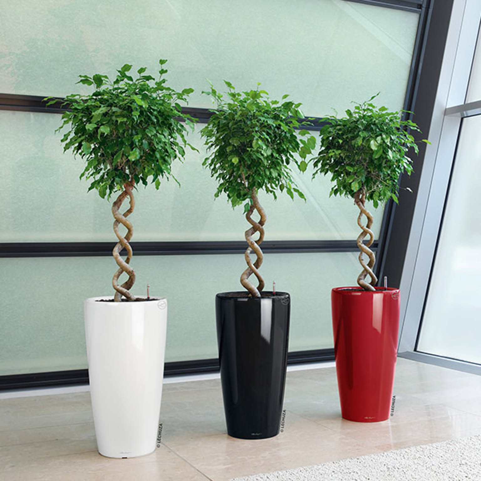 プランター・植木鉢
