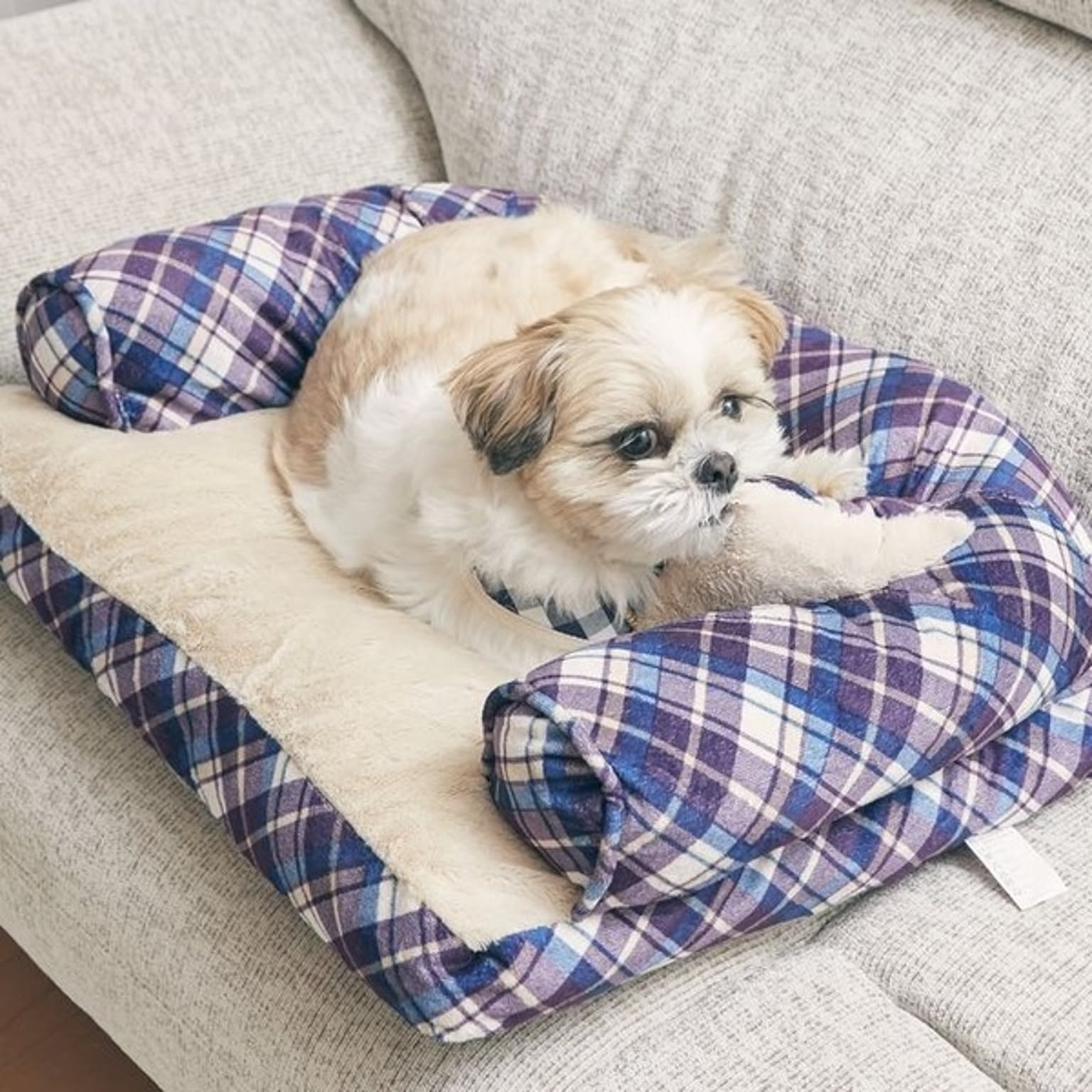 犬用インテリア・犬用家具