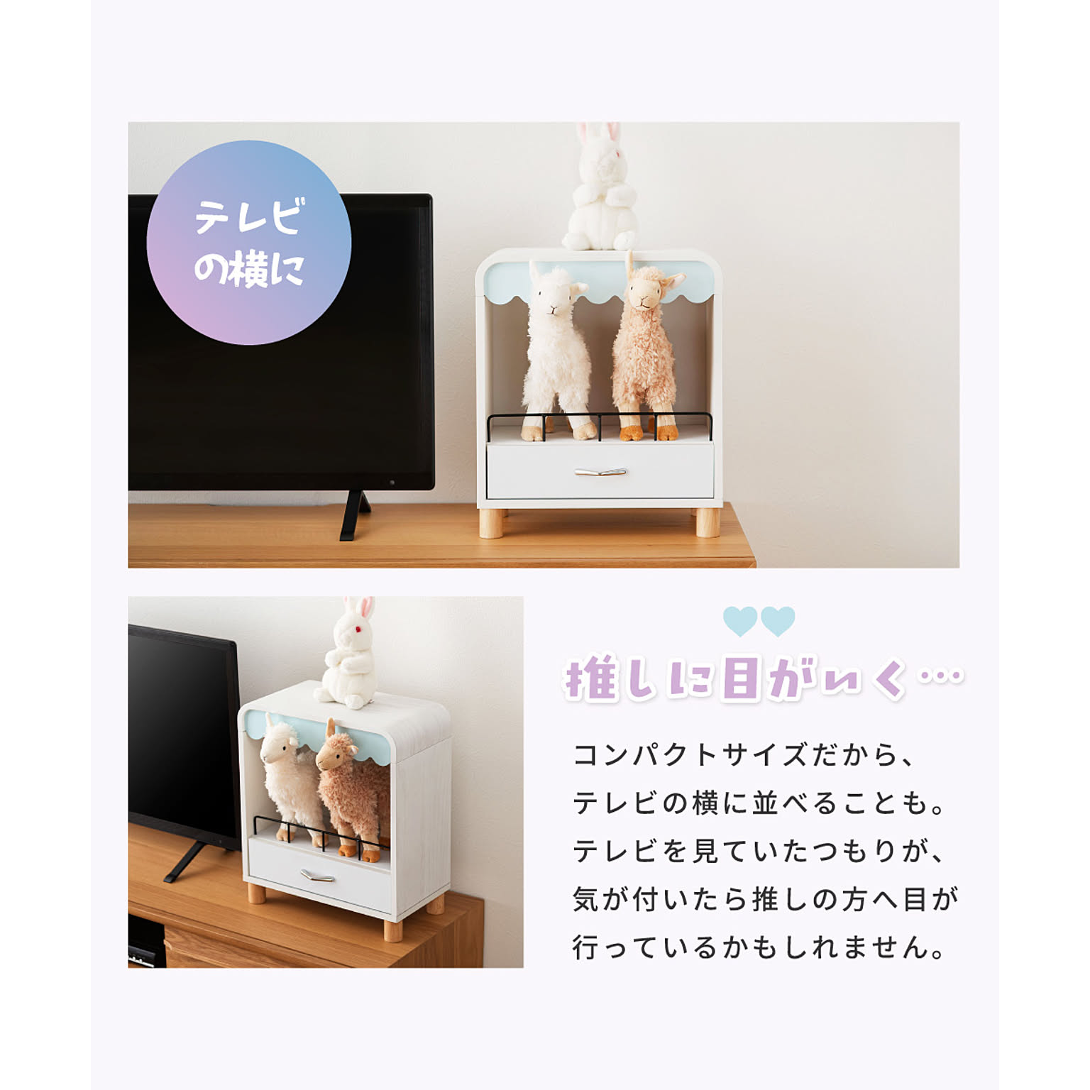 コレクションケース
