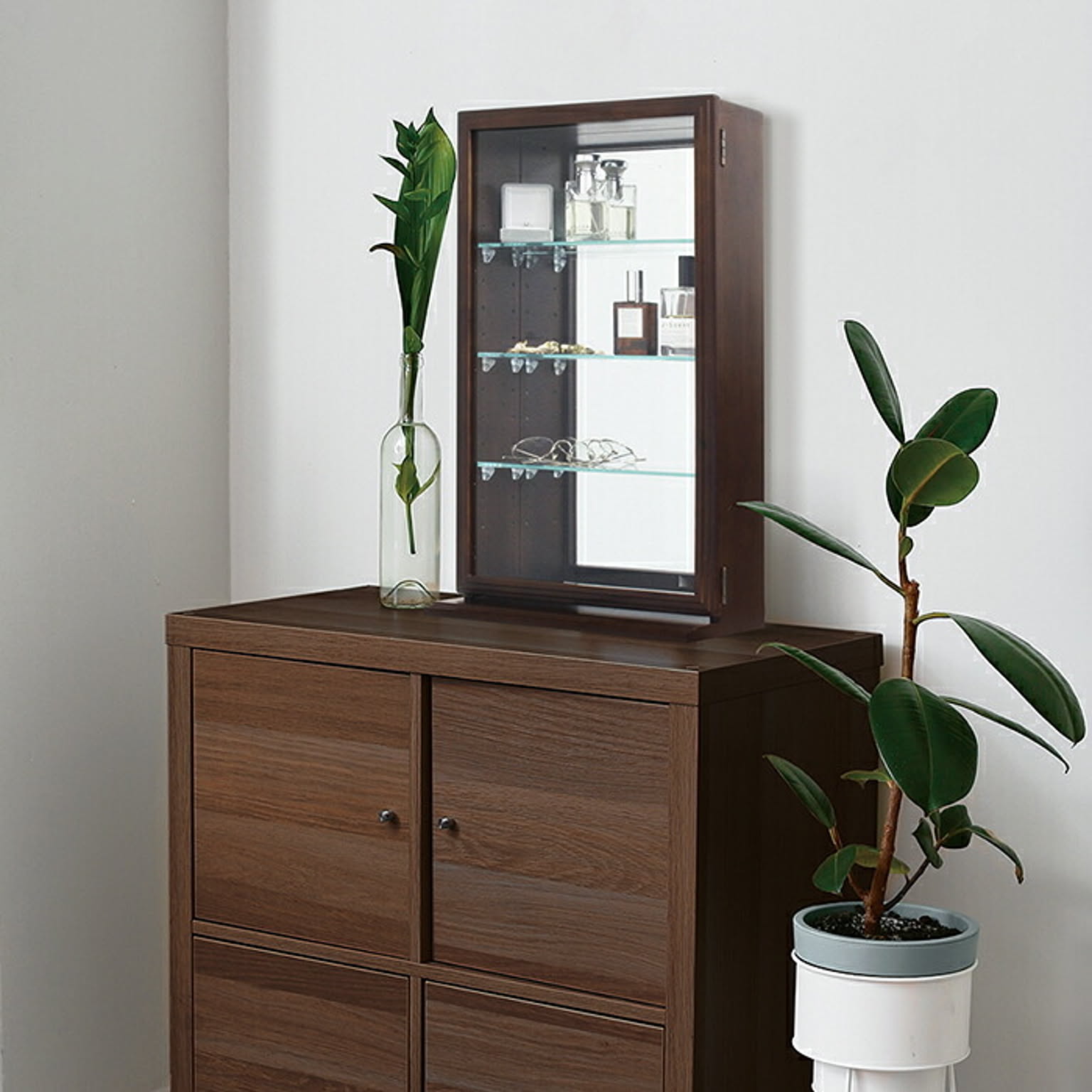 コレクションケース