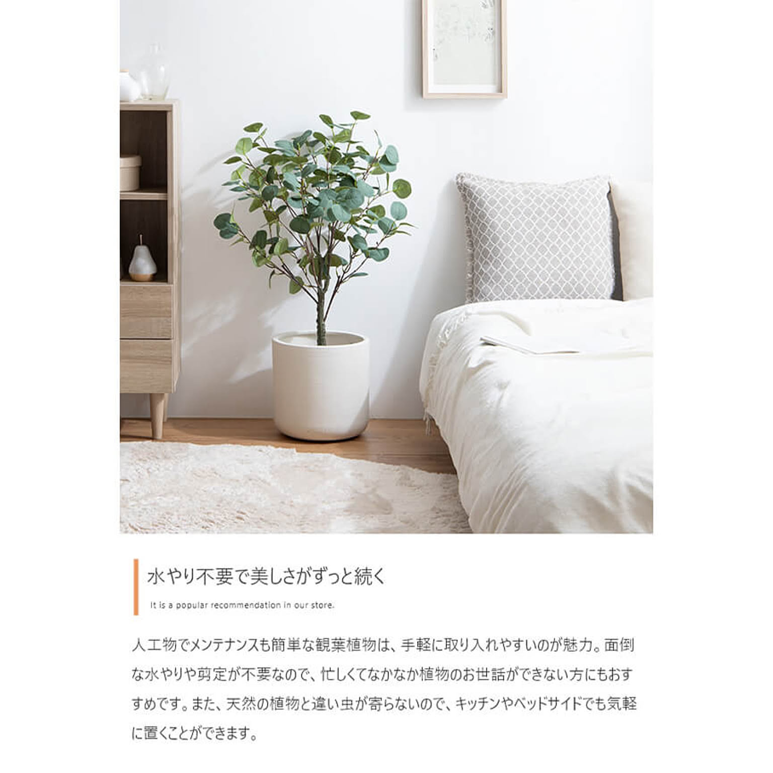 観葉植物