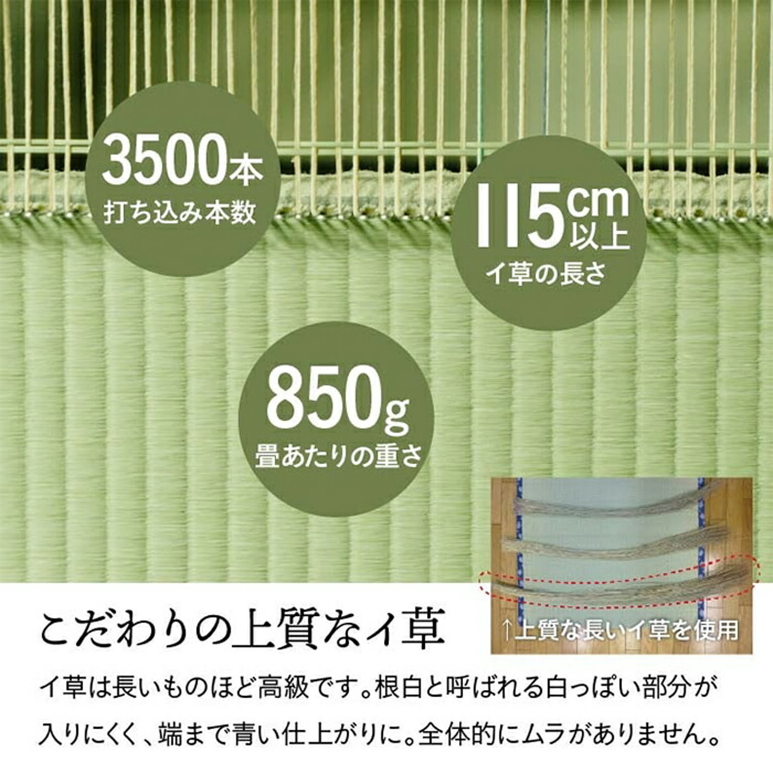 ござ・い草ラグ