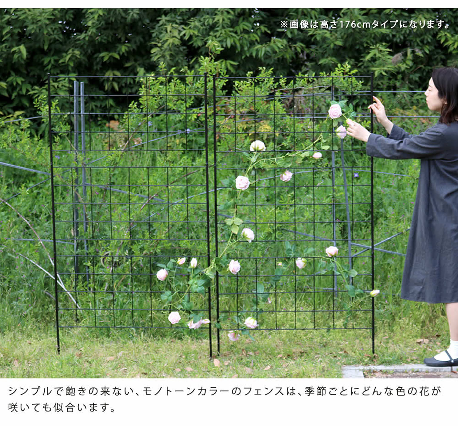 エクステリア