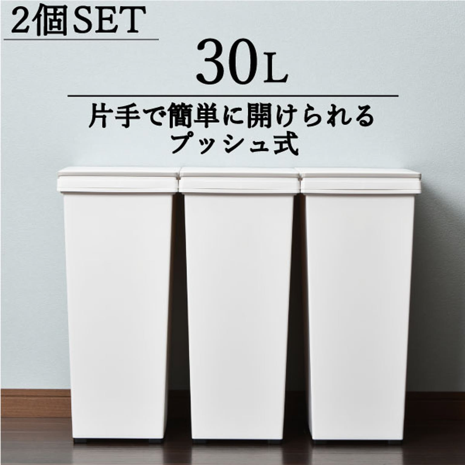 エバンプッシュペール 30L 2個セット 