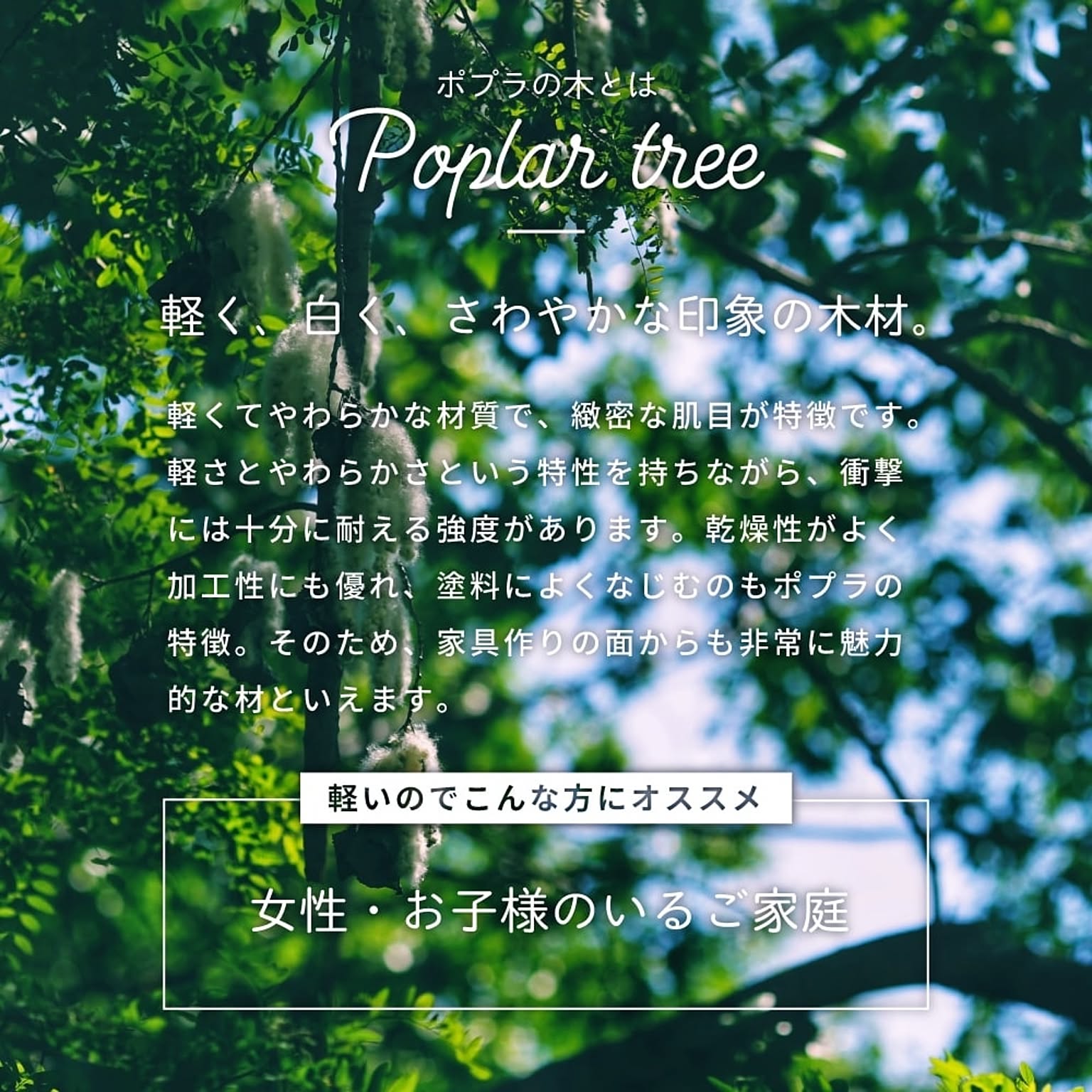 スツール・丸椅子