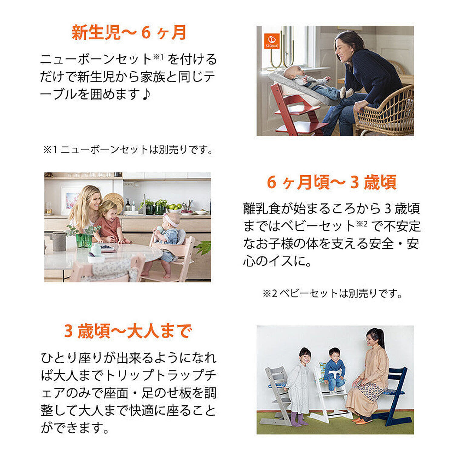ダイニングチェア