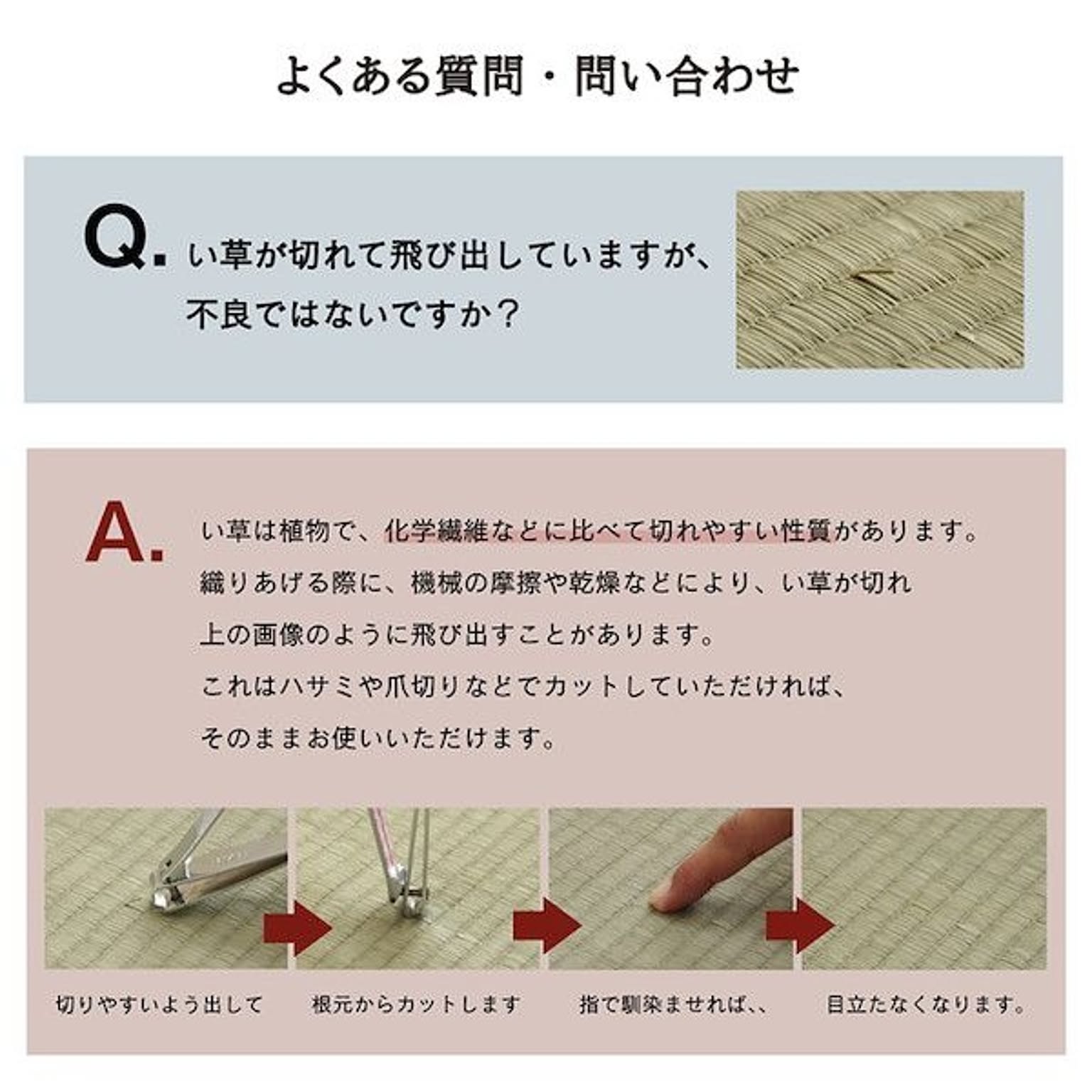 ござ・い草ラグ