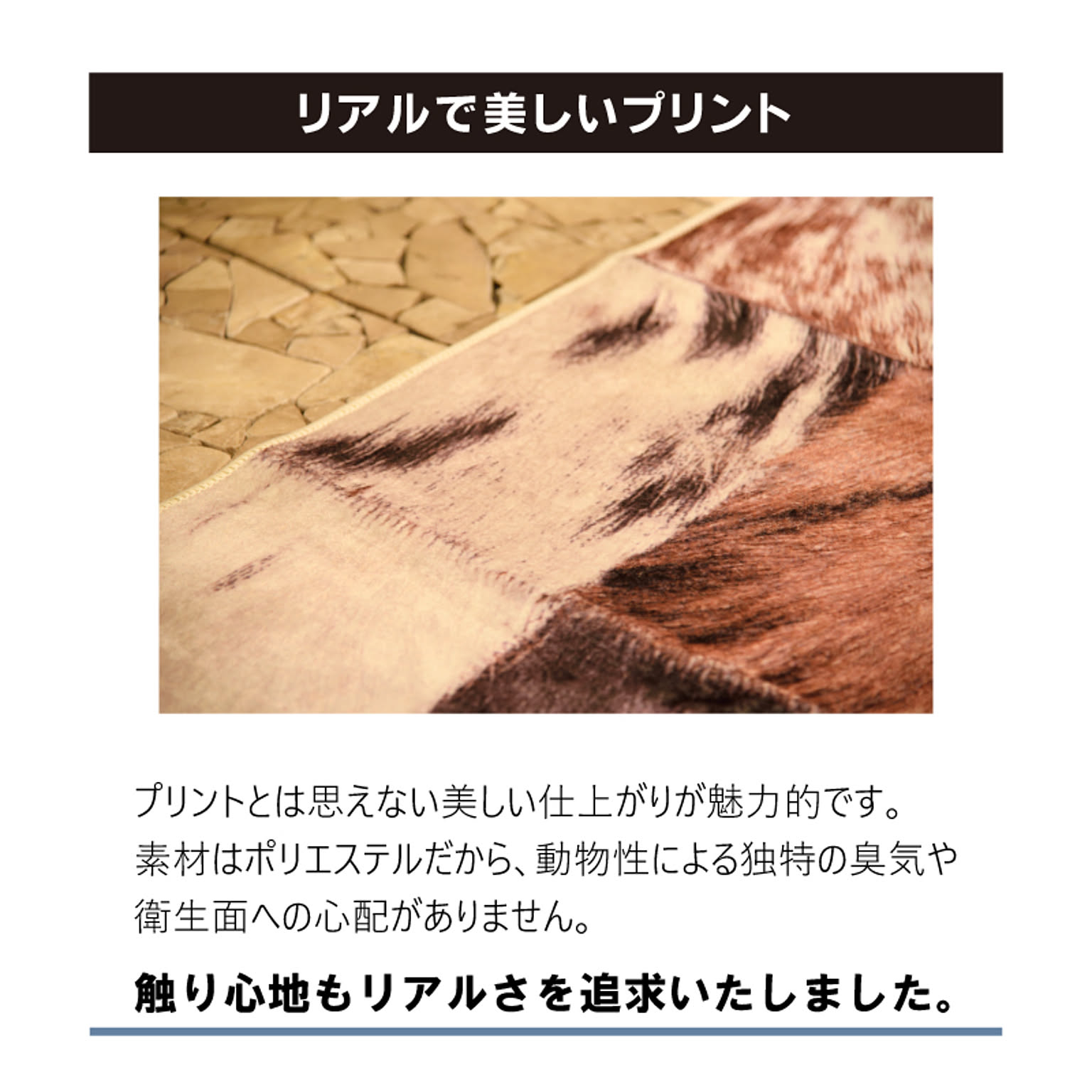 ラグ