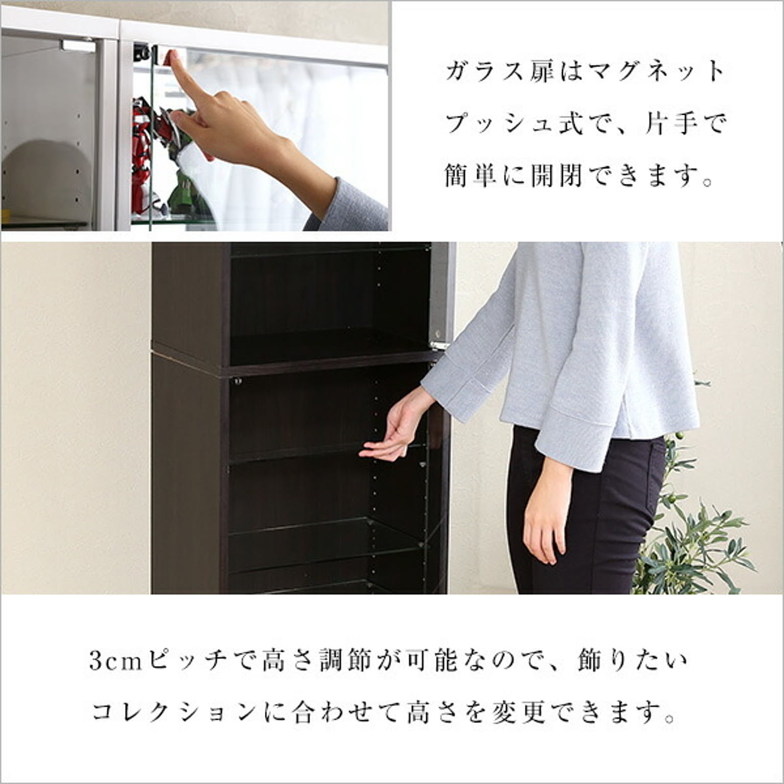 コレクションケース