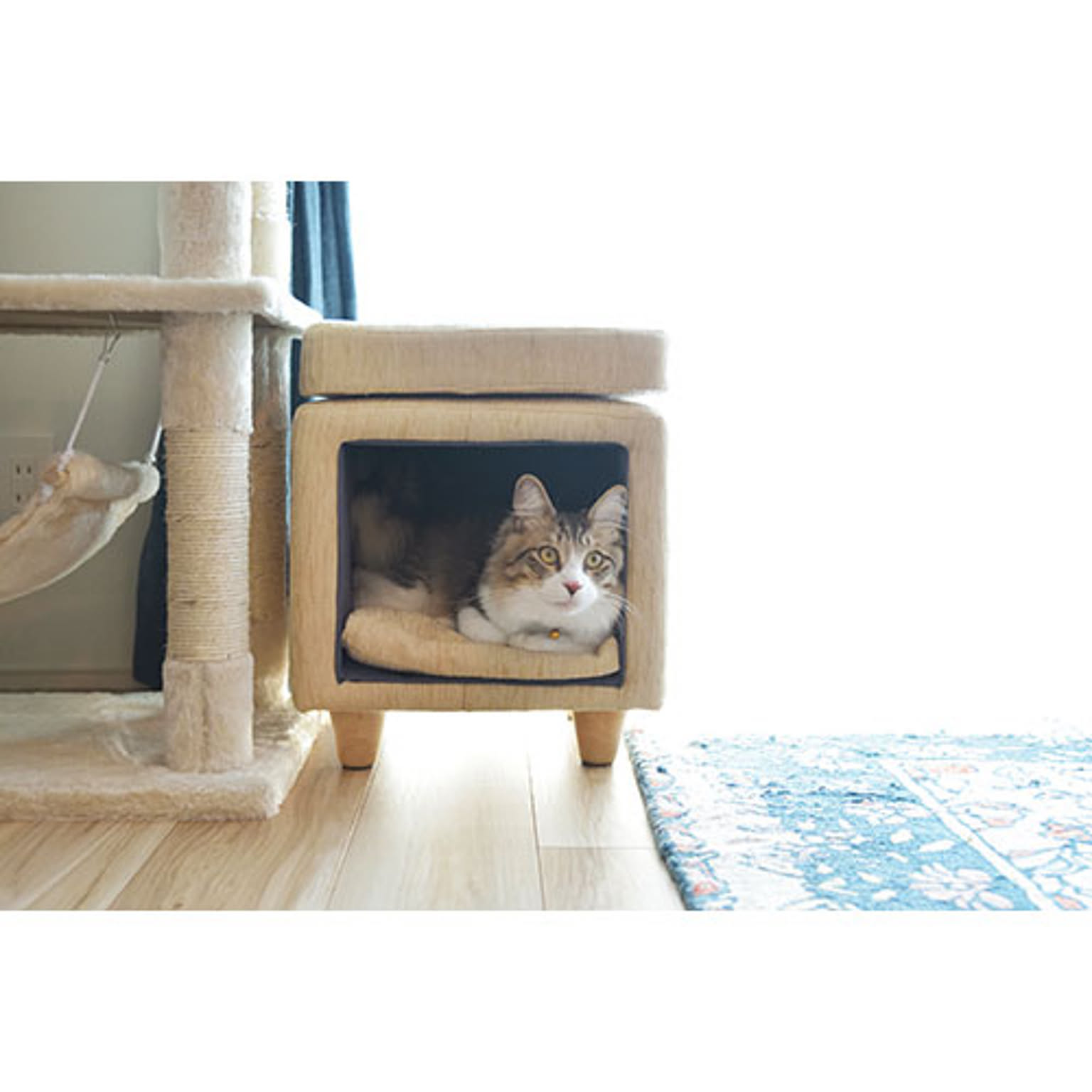 犬用インテリア・犬用家具