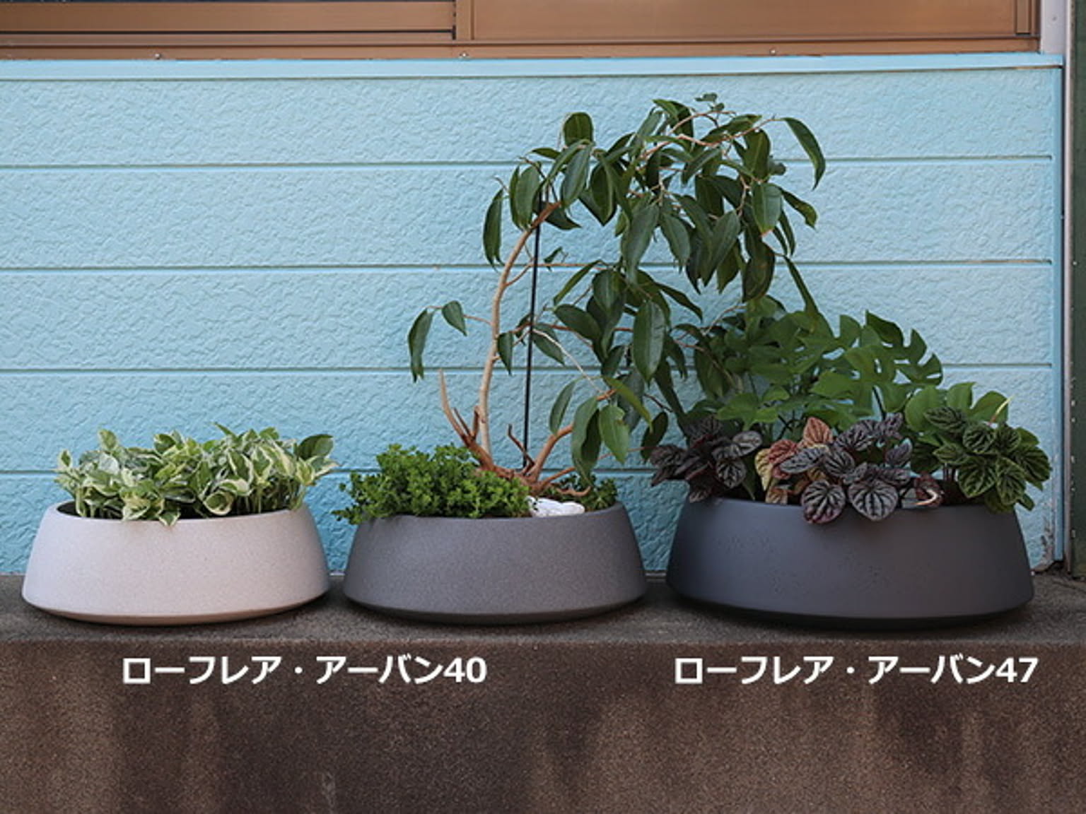 プランター・植木鉢
