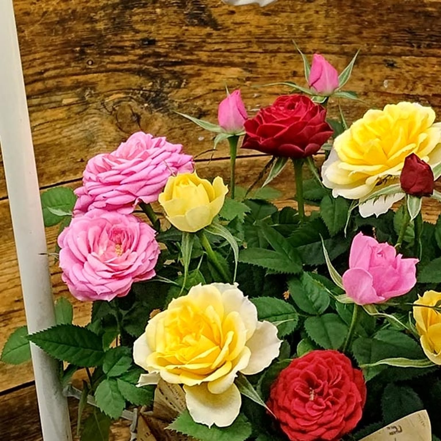造花・アートフラワー