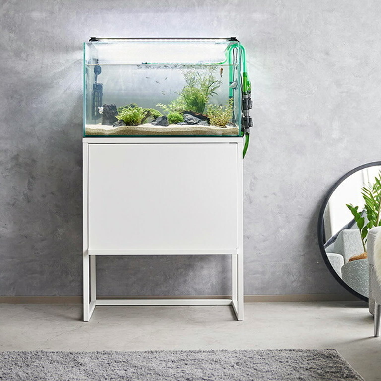 その他の動物のインテリア・その他の動物の家具