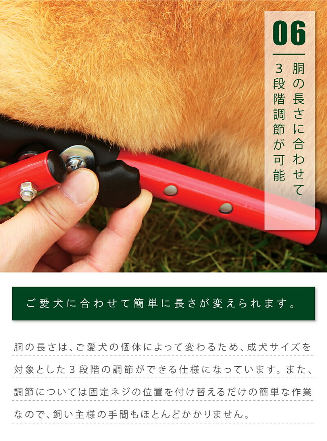 犬用インテリア・犬用家具