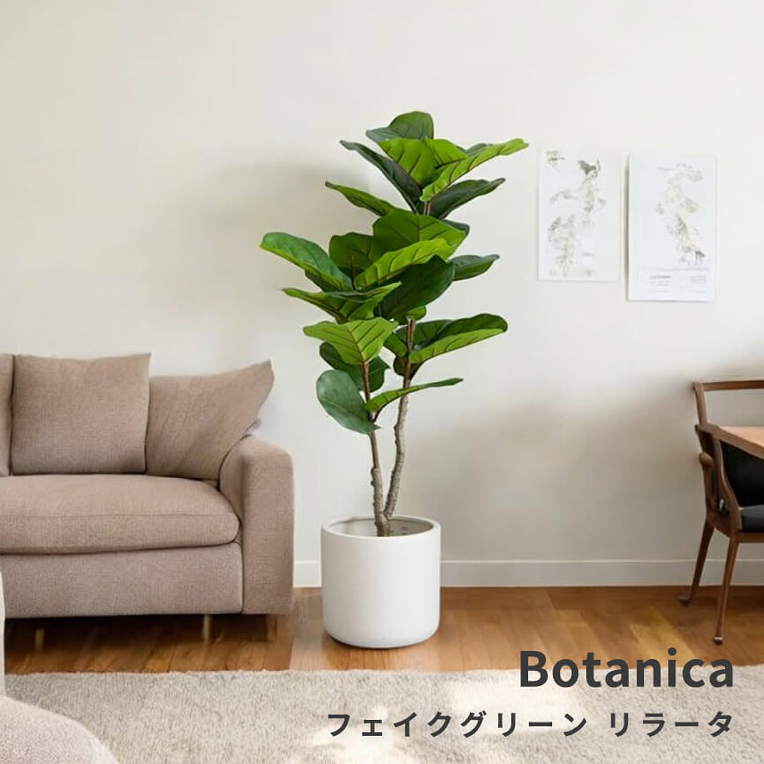 観葉植物