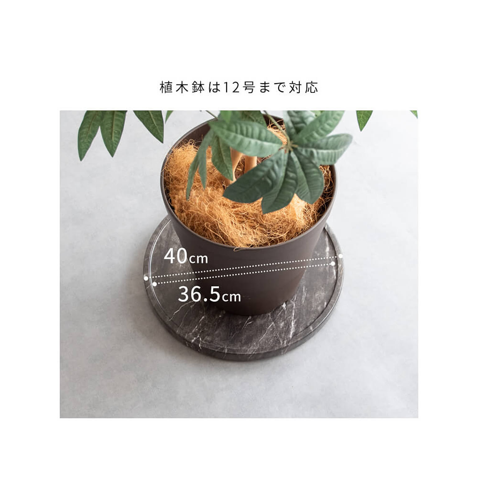 花瓶・フラワーベース