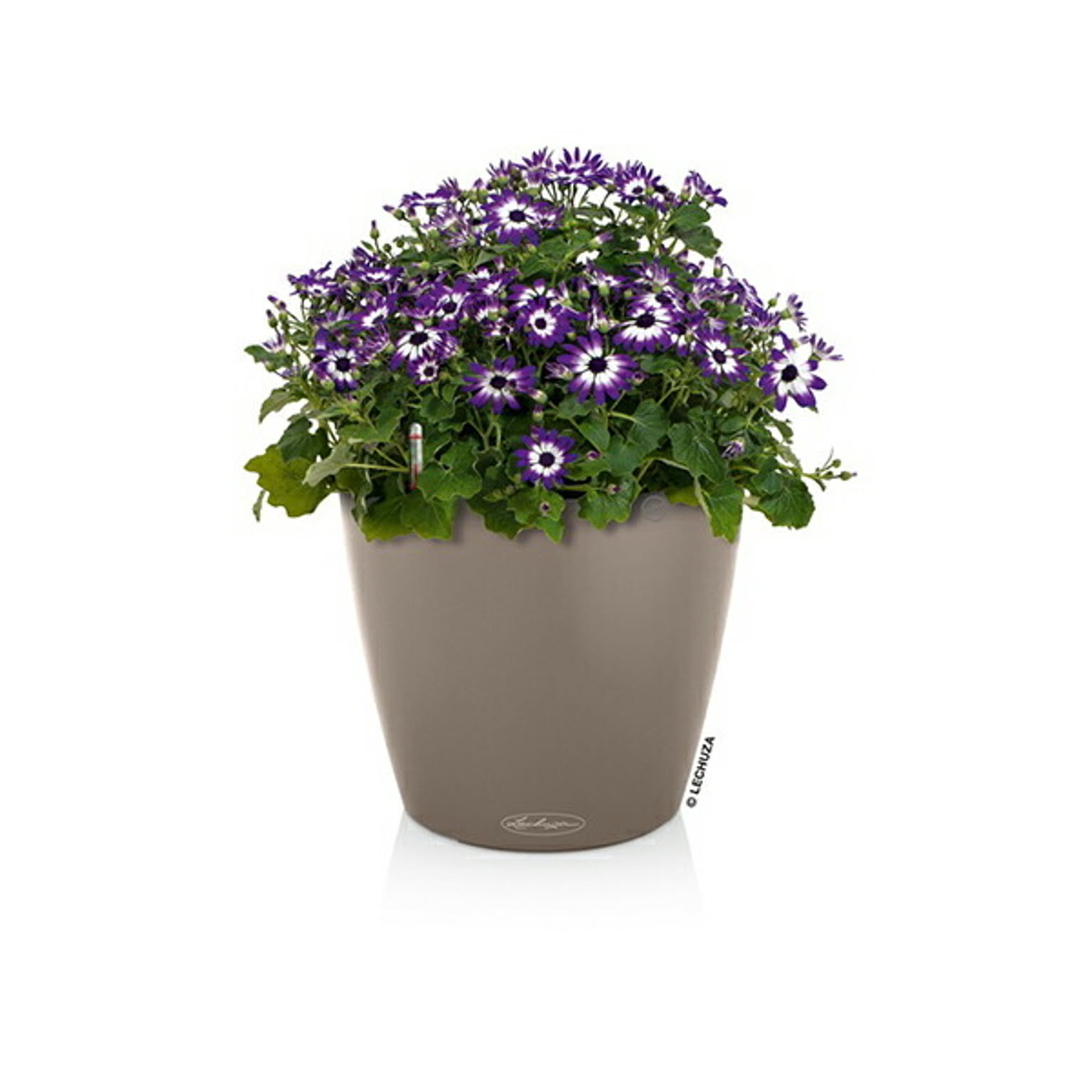 プランター・植木鉢