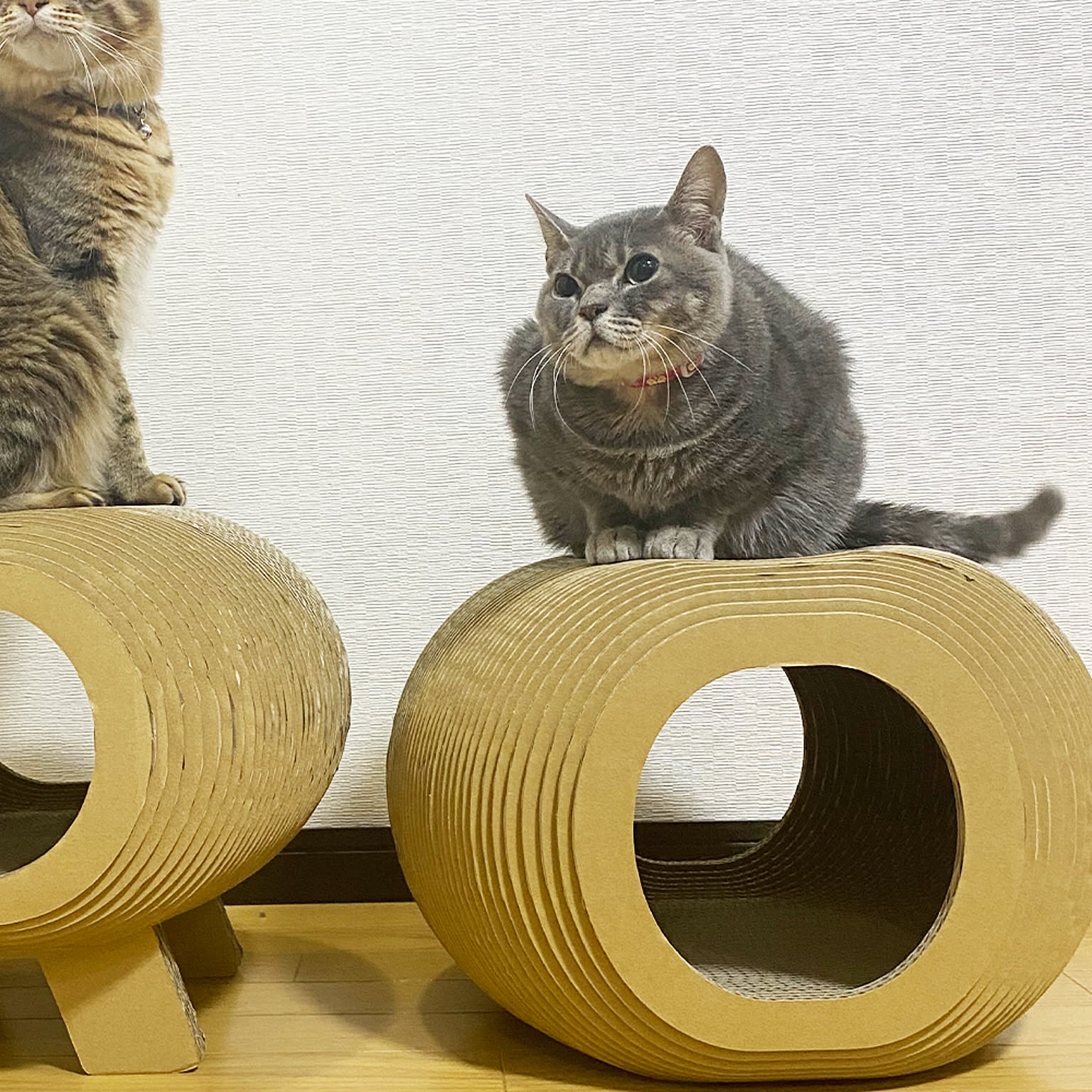 猫用インテリア・猫用家具