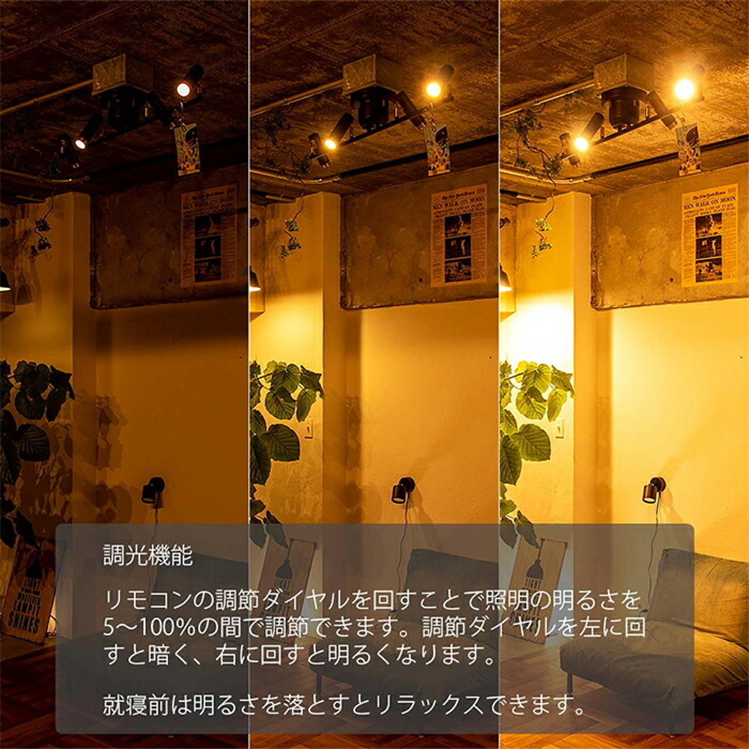 スポットライト