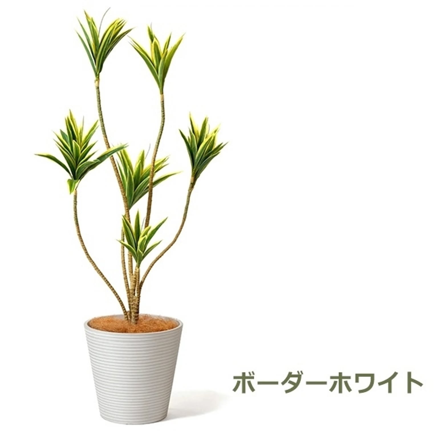 フェイクグリーン