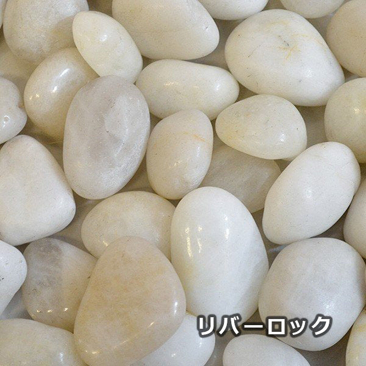 PRGR-0835E マグノリアリーフ 皿付スリムプランター PRGR-0835 / GREENPARK プリマ GREENPARK PRGR-0835E
