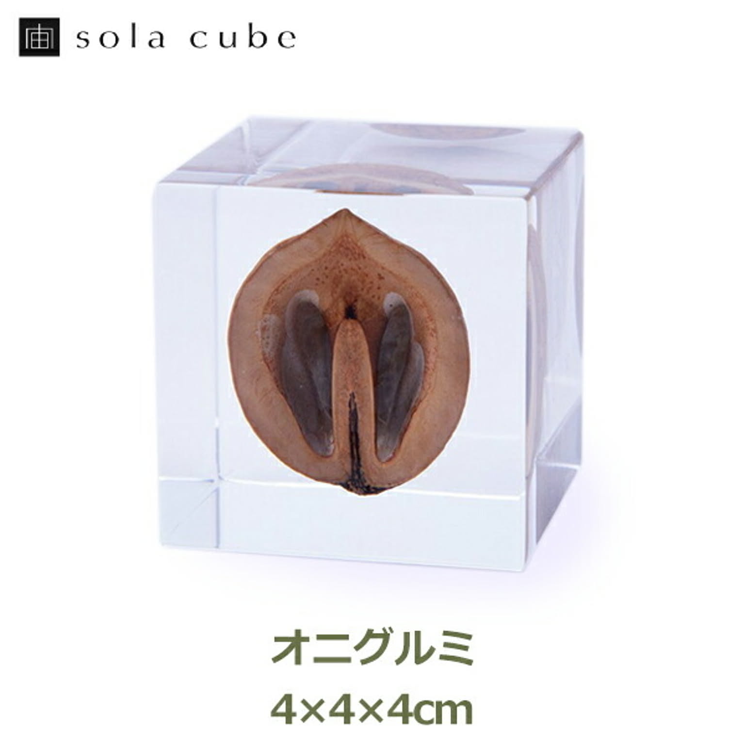 置物・オブジェ