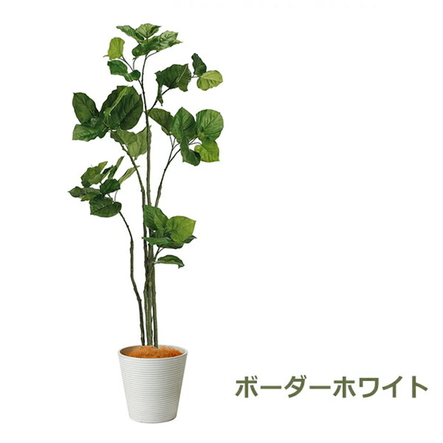 フェイクグリーン