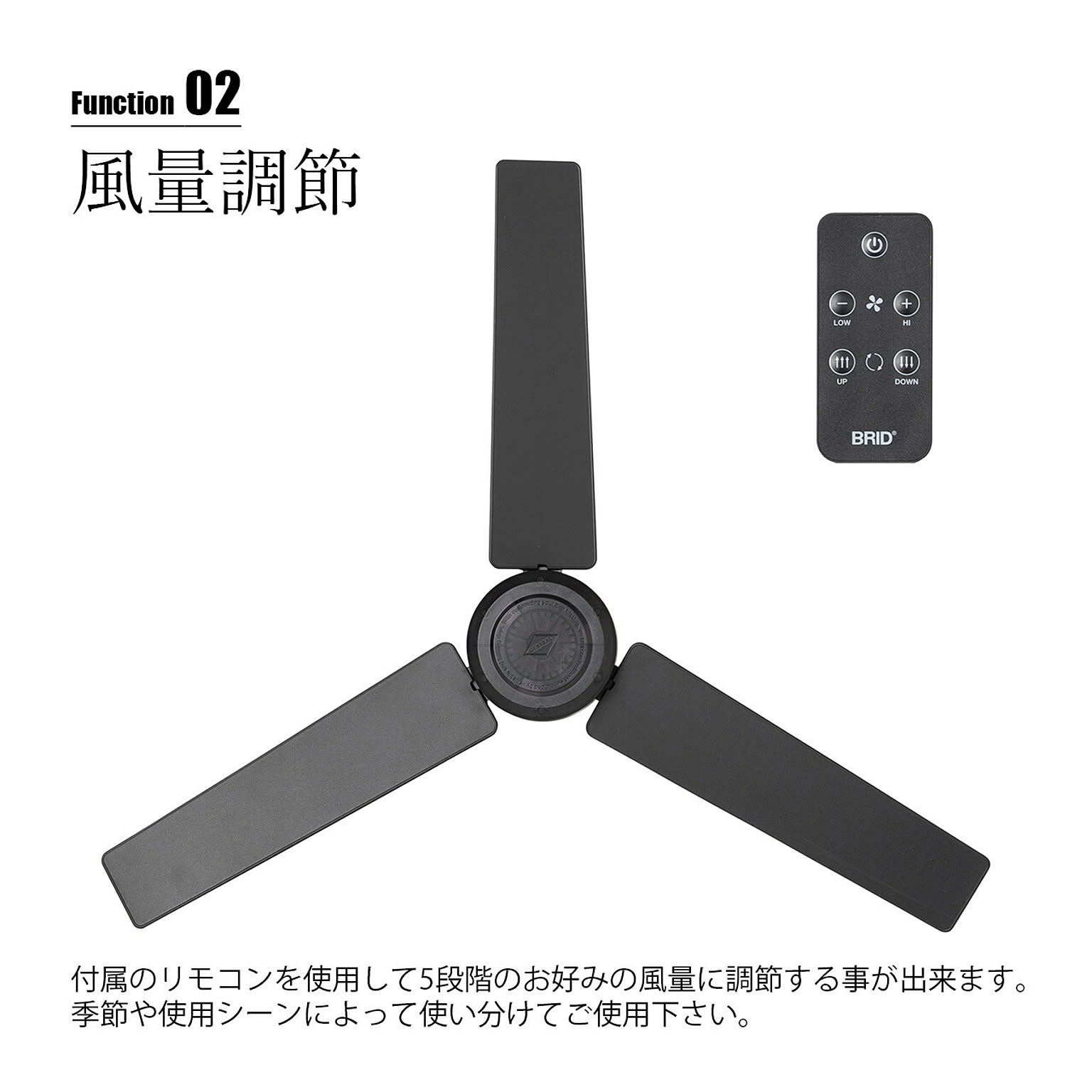 シーリングファンライト