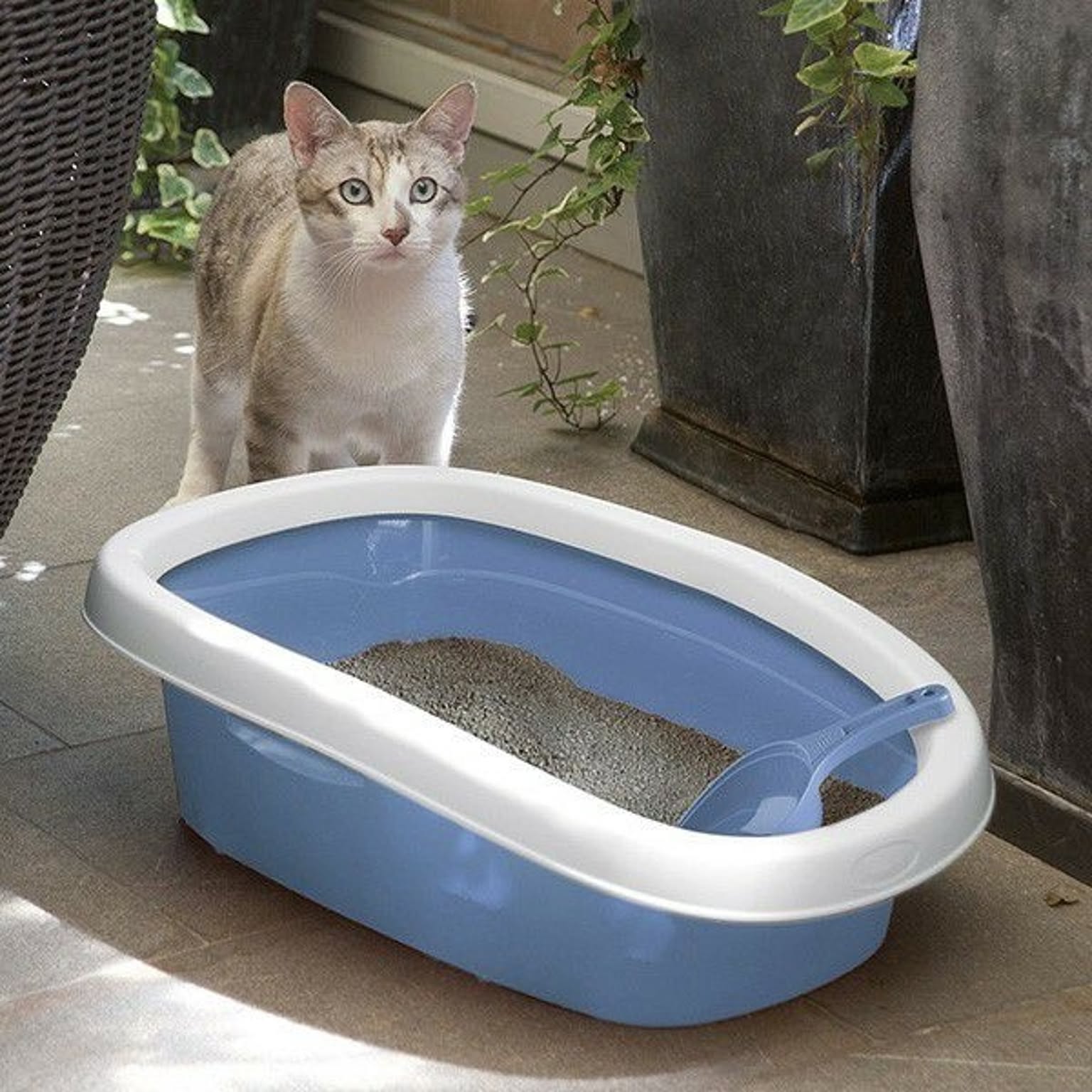 猫用インテリア・猫用家具