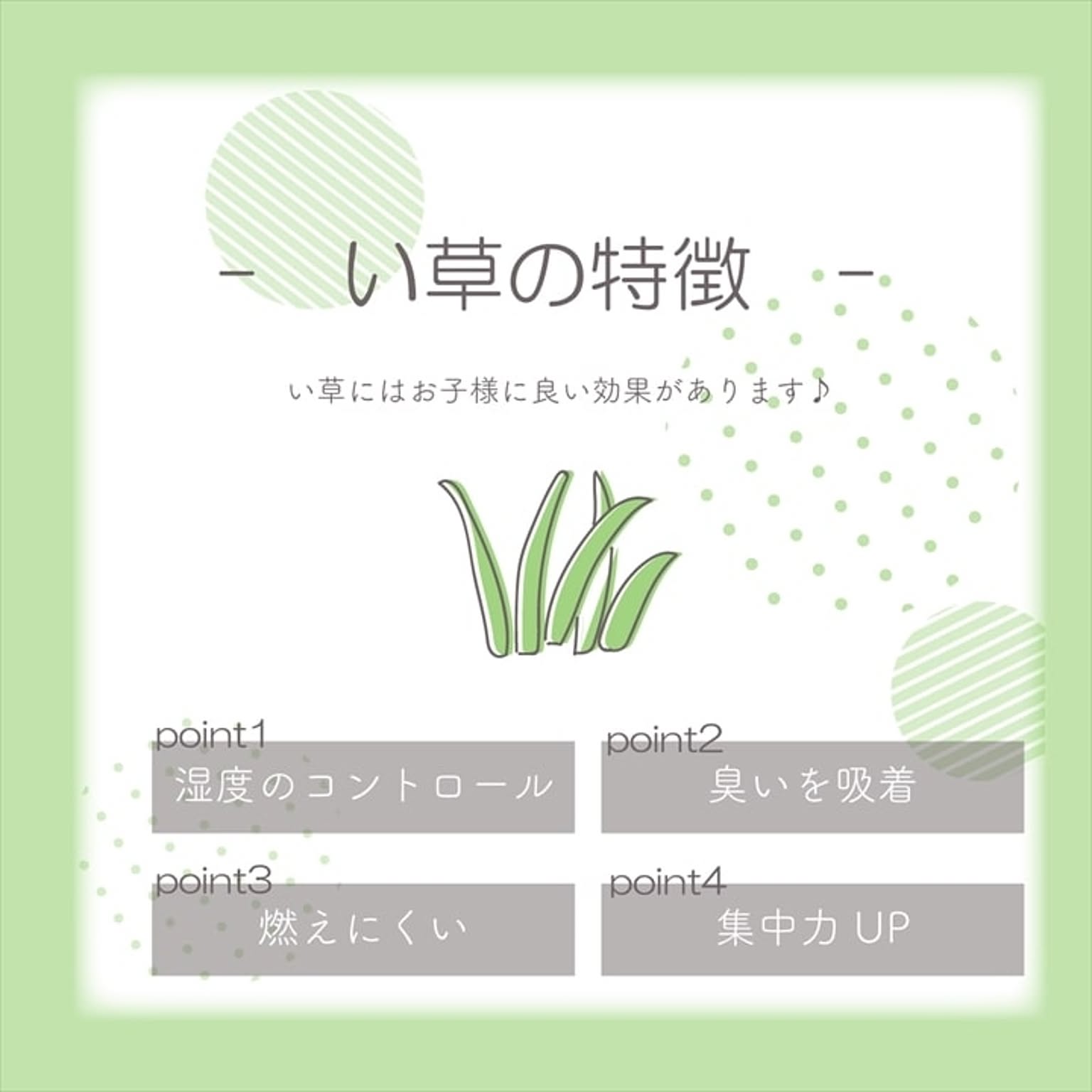 ござ・い草ラグ
