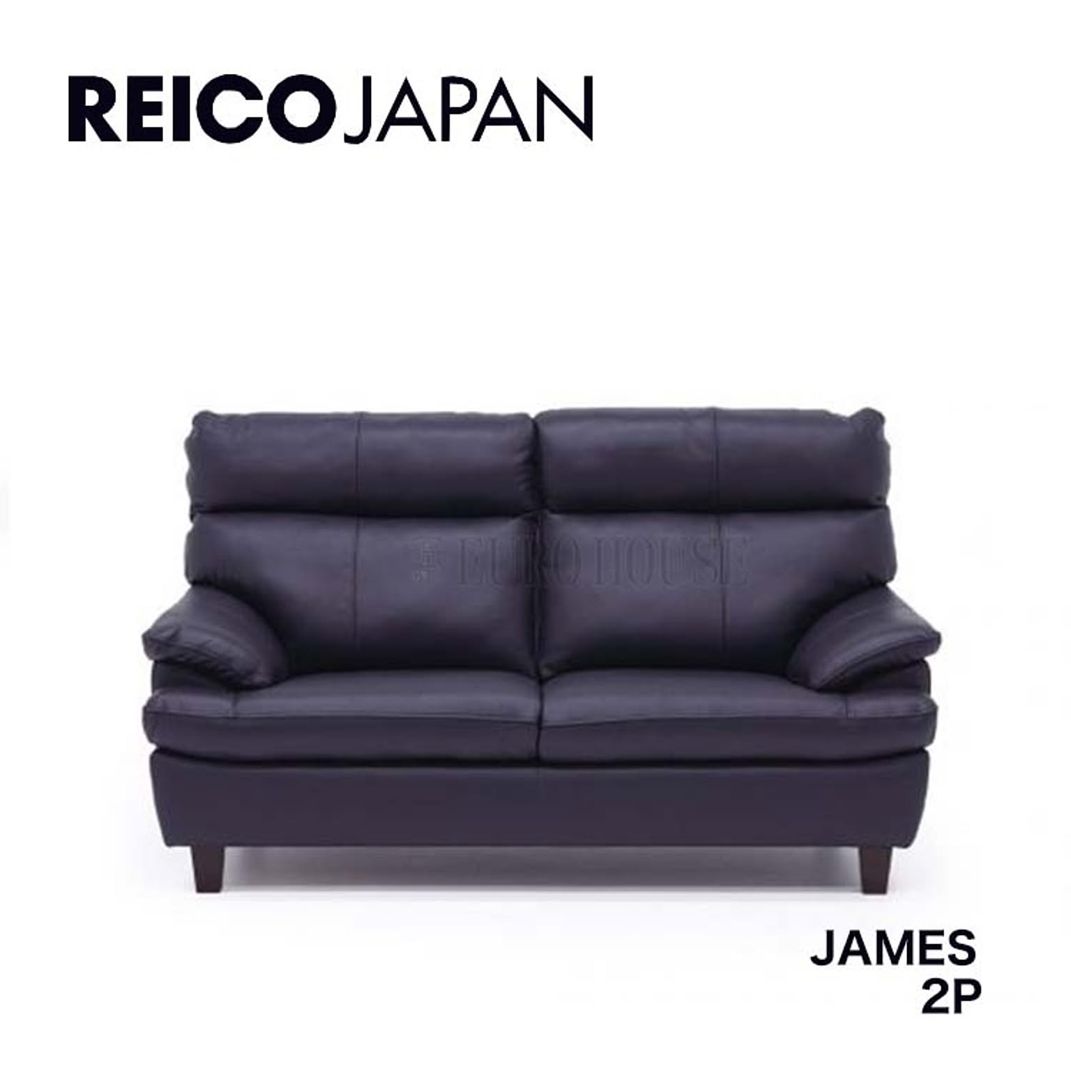 2Pソファ 2人掛け 2P ソファー ジェームス JAMES 革 leather NV リビング シンプル レイコージャパン SHEER Reico Japan 