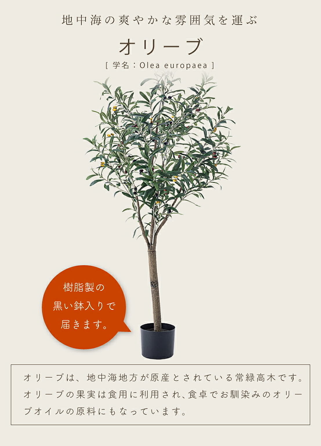 フェイクグリーン