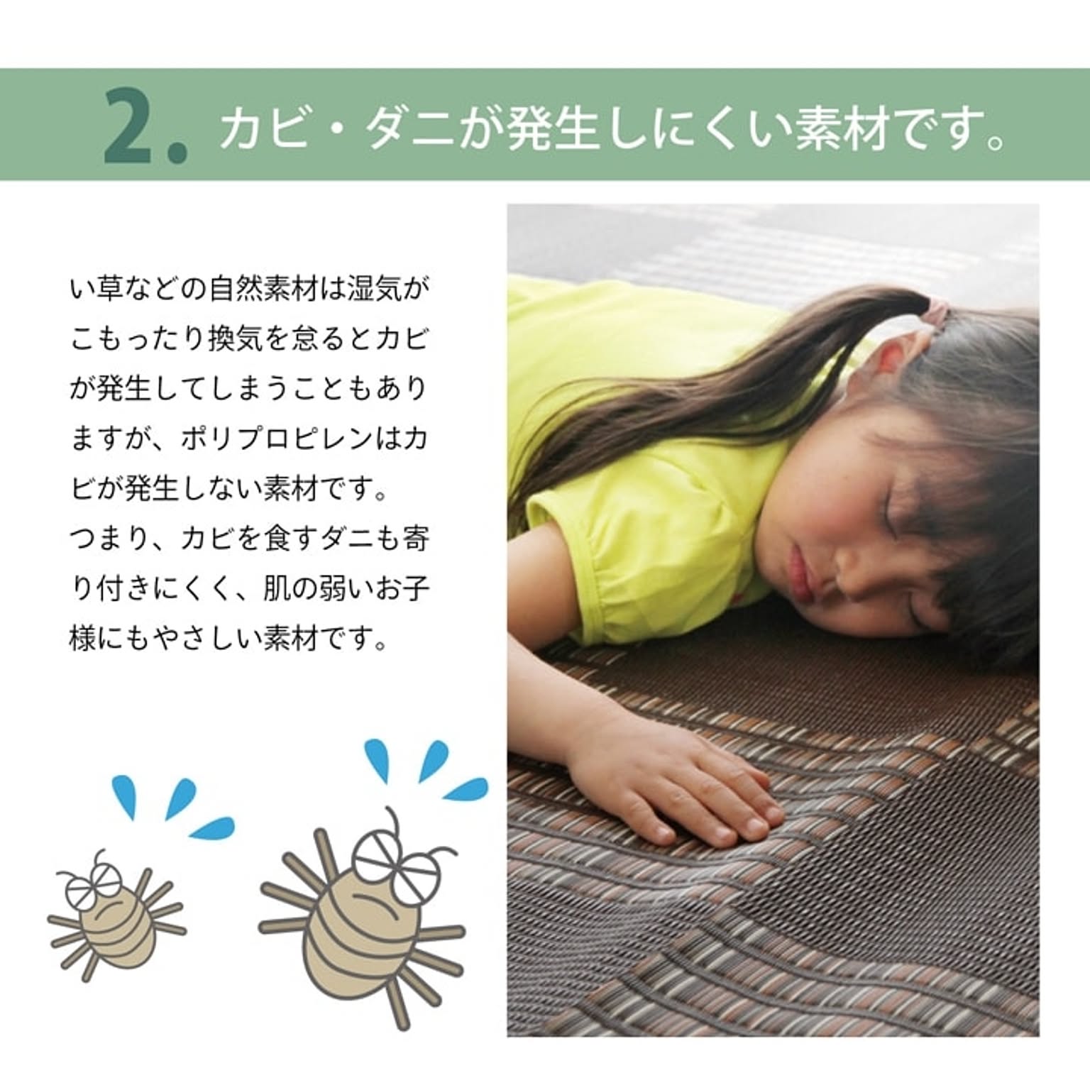 ござ・い草ラグ