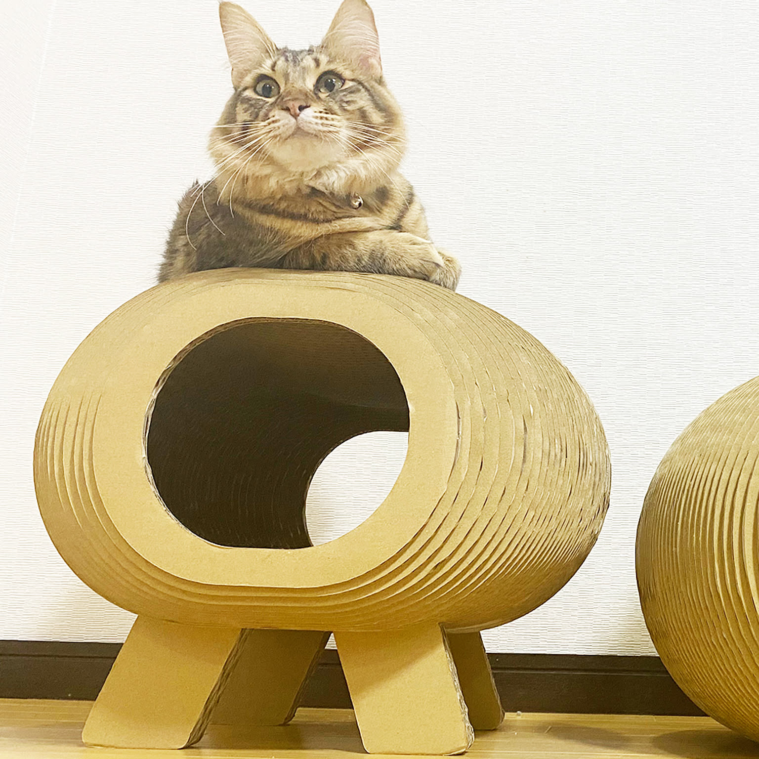猫用インテリア・猫用家具
