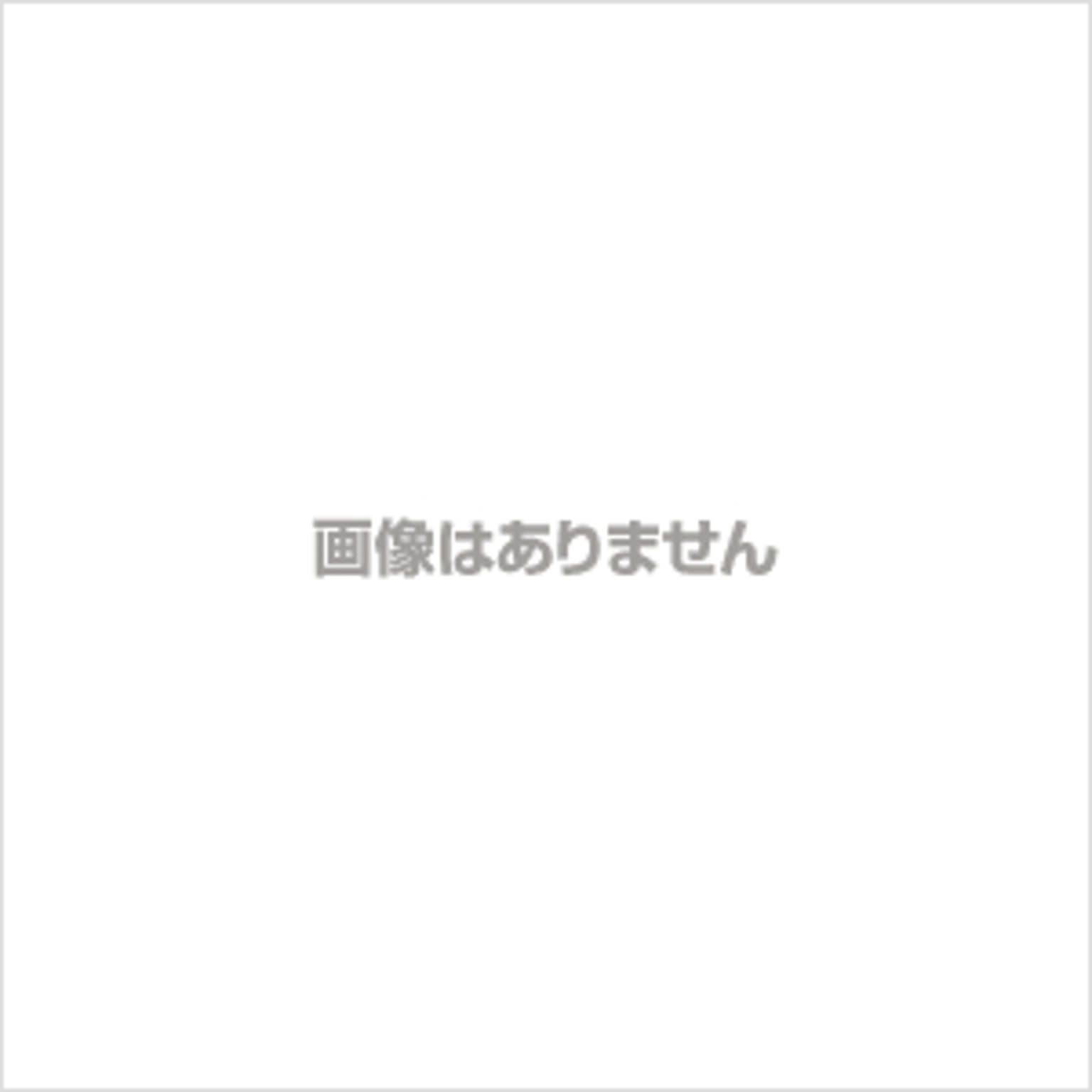 ライクイット 調理ができる保存容器 M（1個）＆L（1個）＆トレーL like-it