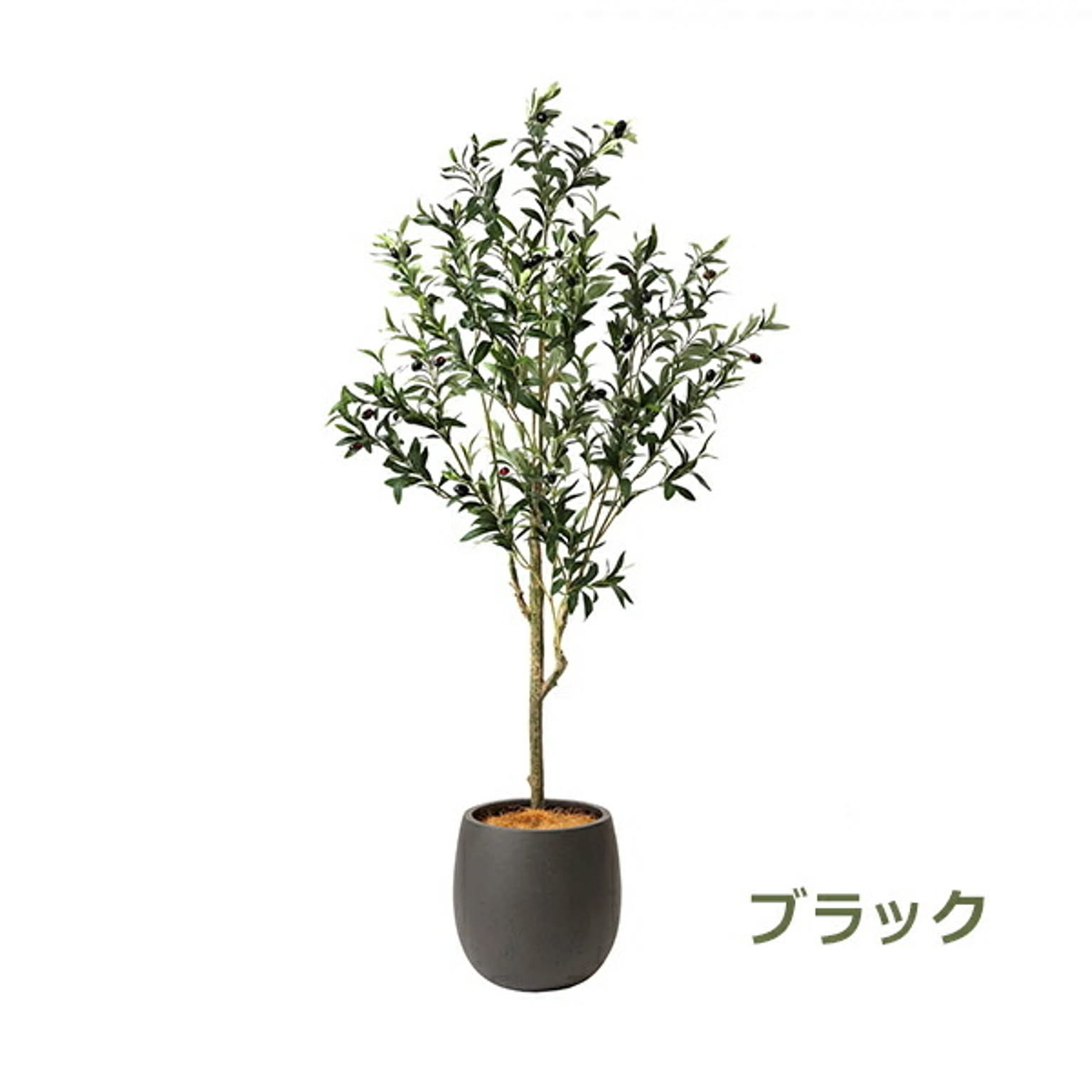 GREENPARK オリーブ エッグポット H155cm PRGR-1261 プリマ