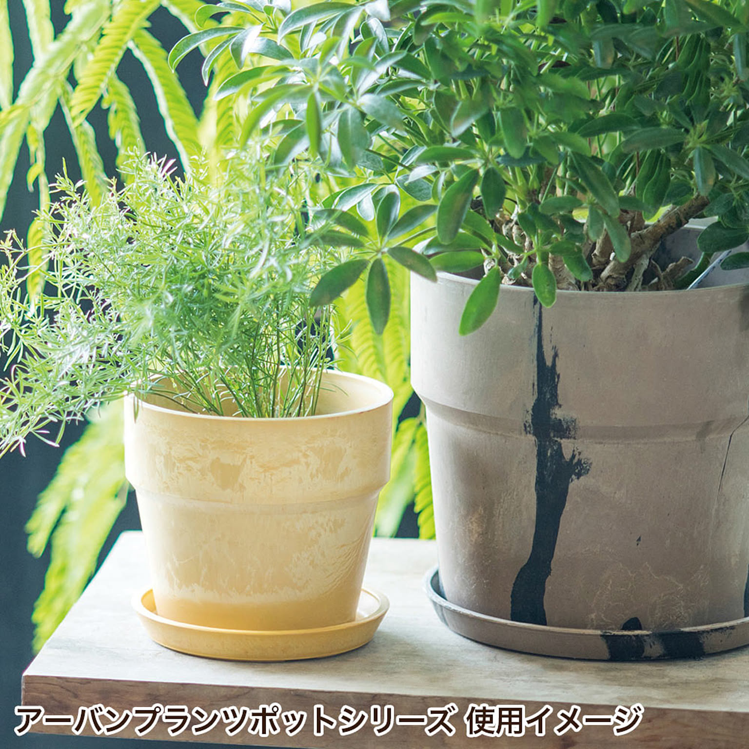 プランター・植木鉢